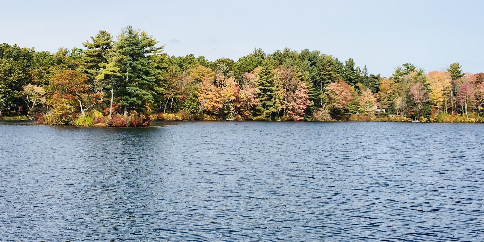 Douglas State Forest