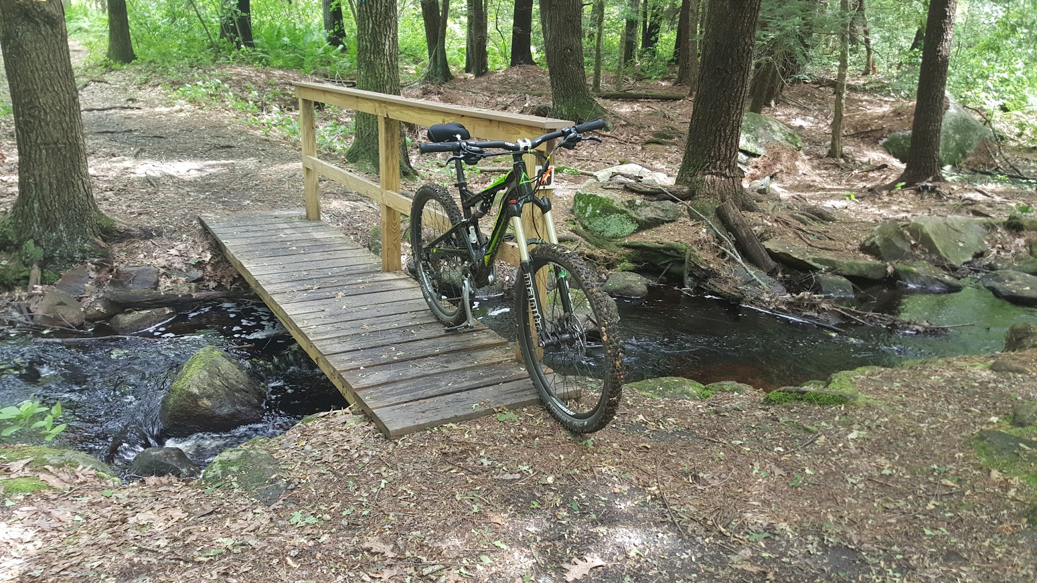 Douglas State Forest