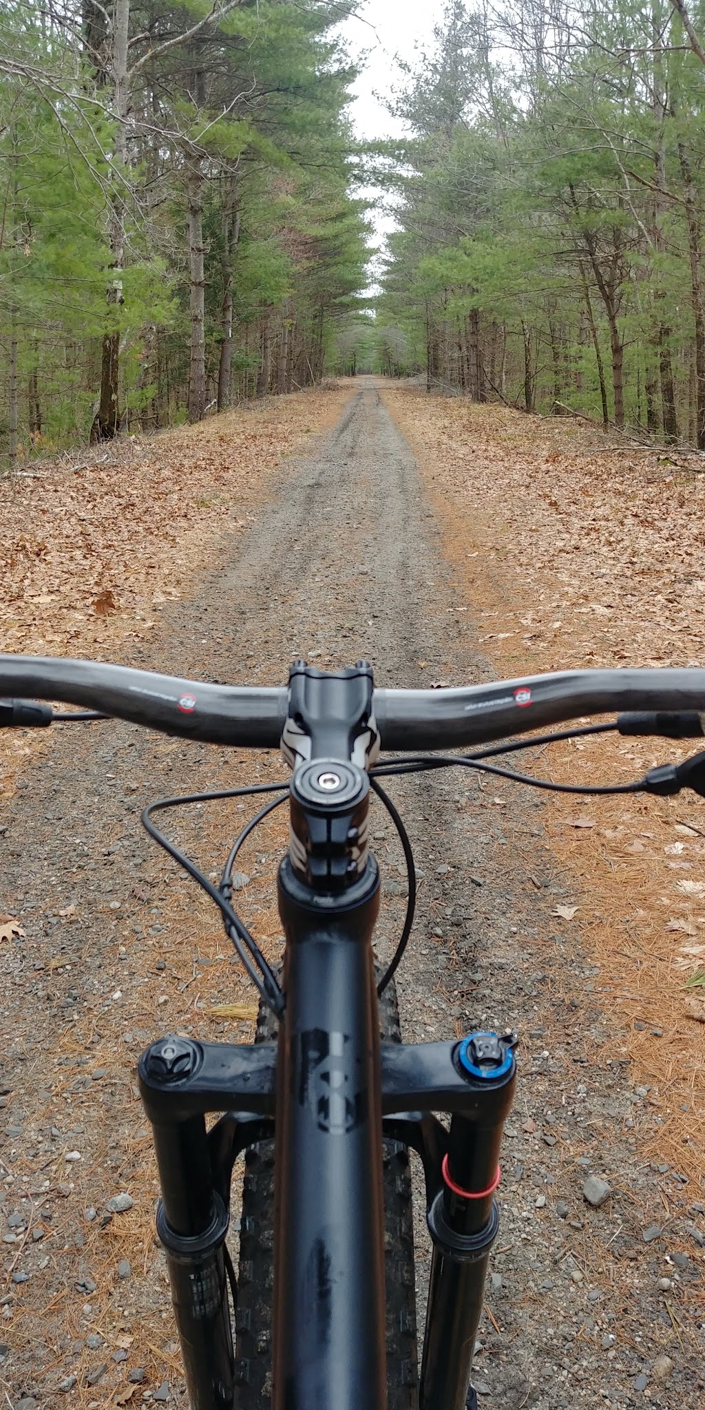 Douglas State Forest