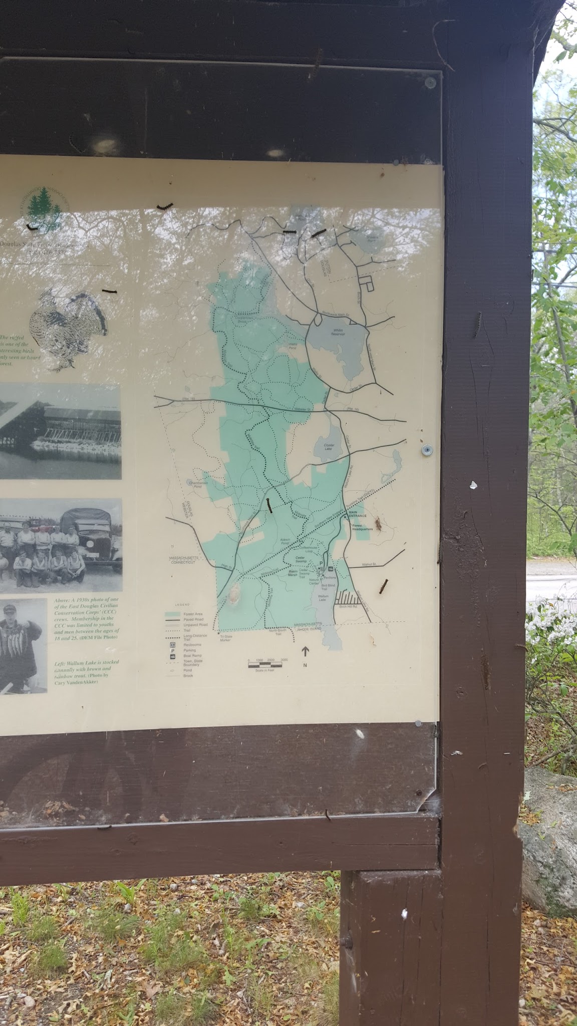 Douglas State Forest