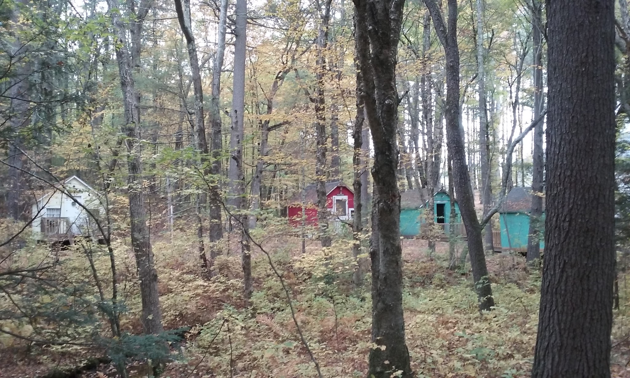 Douglas State Forest