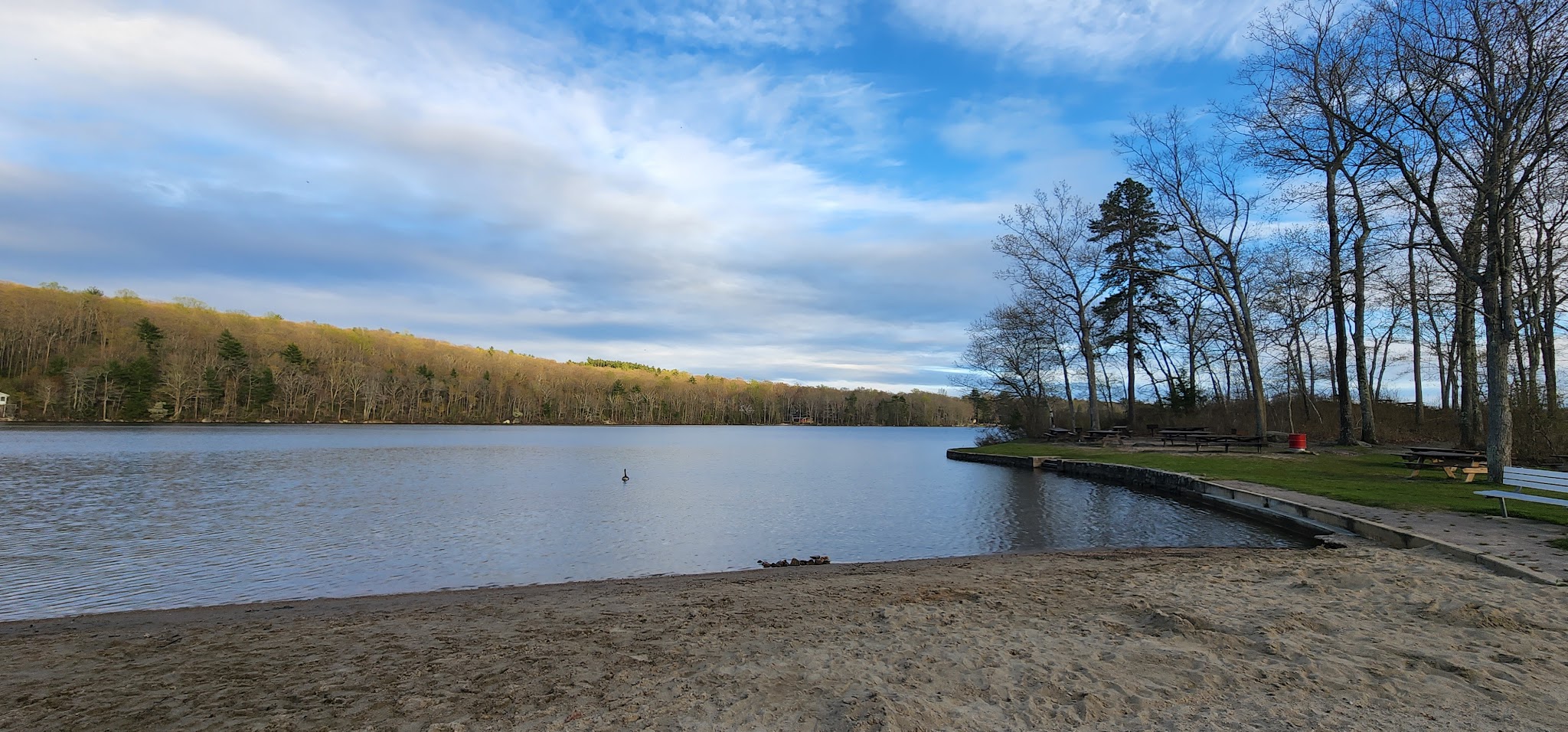 Douglas State Forest