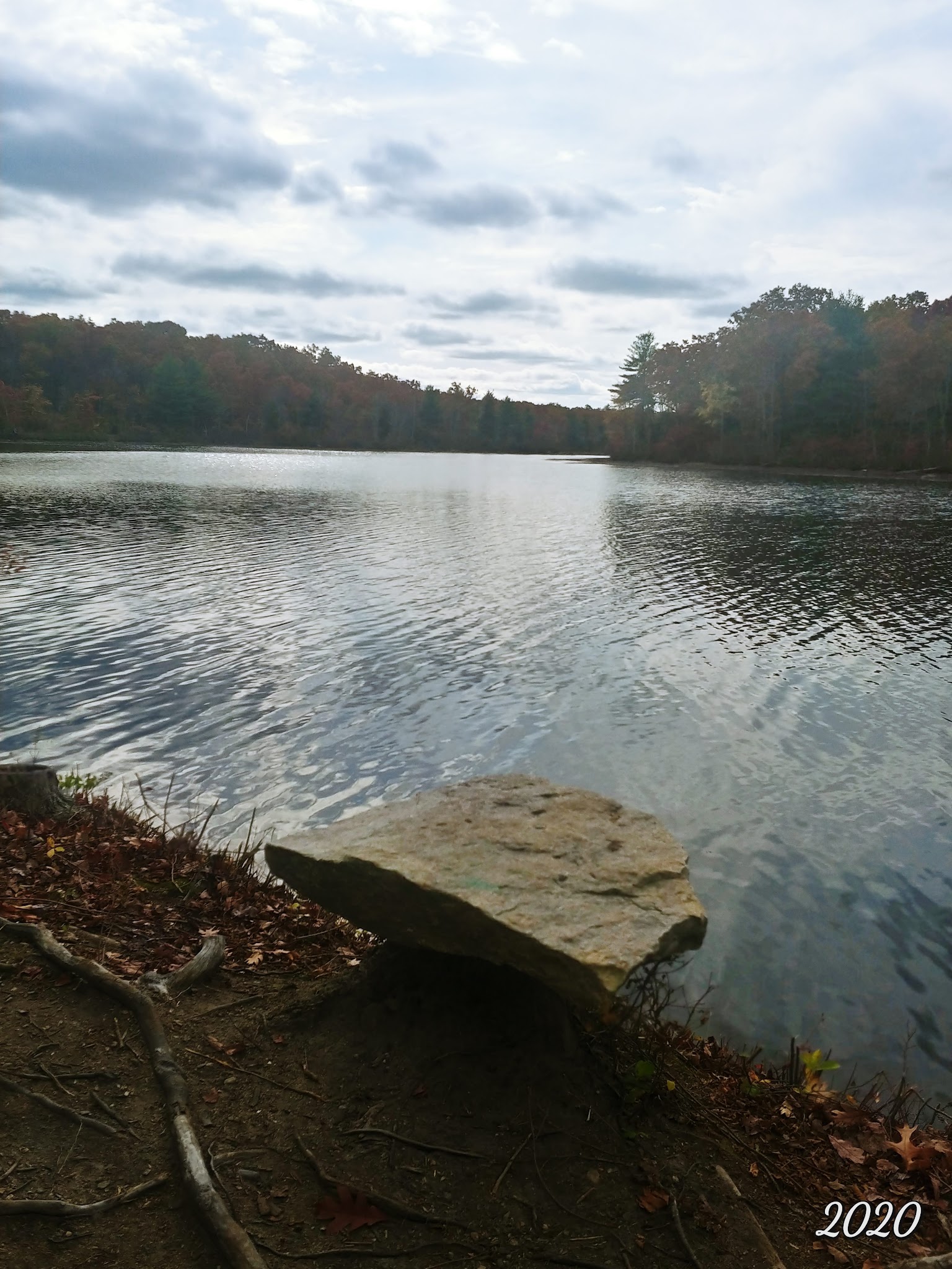 Douglas State Forest