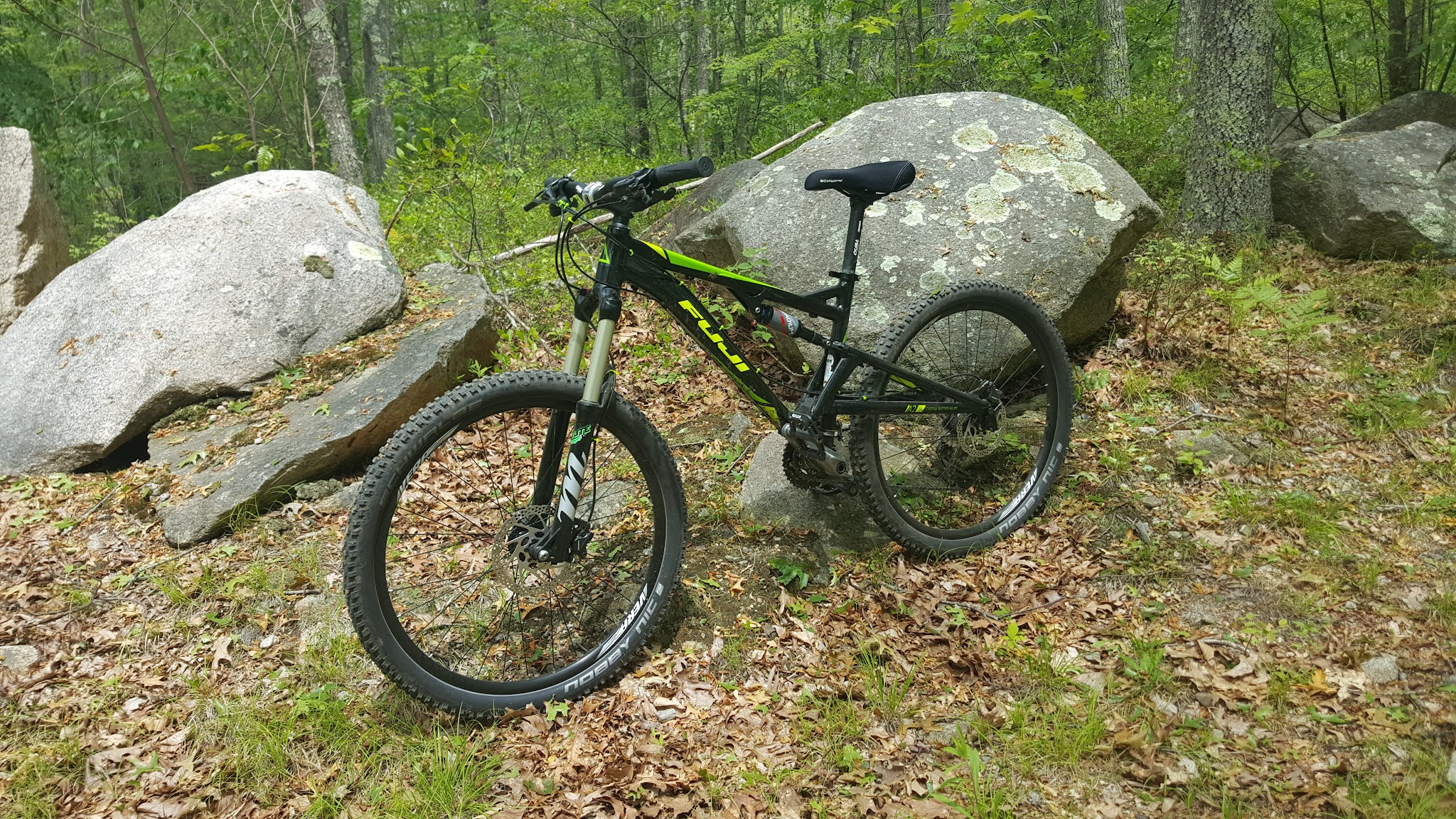 Douglas State Forest