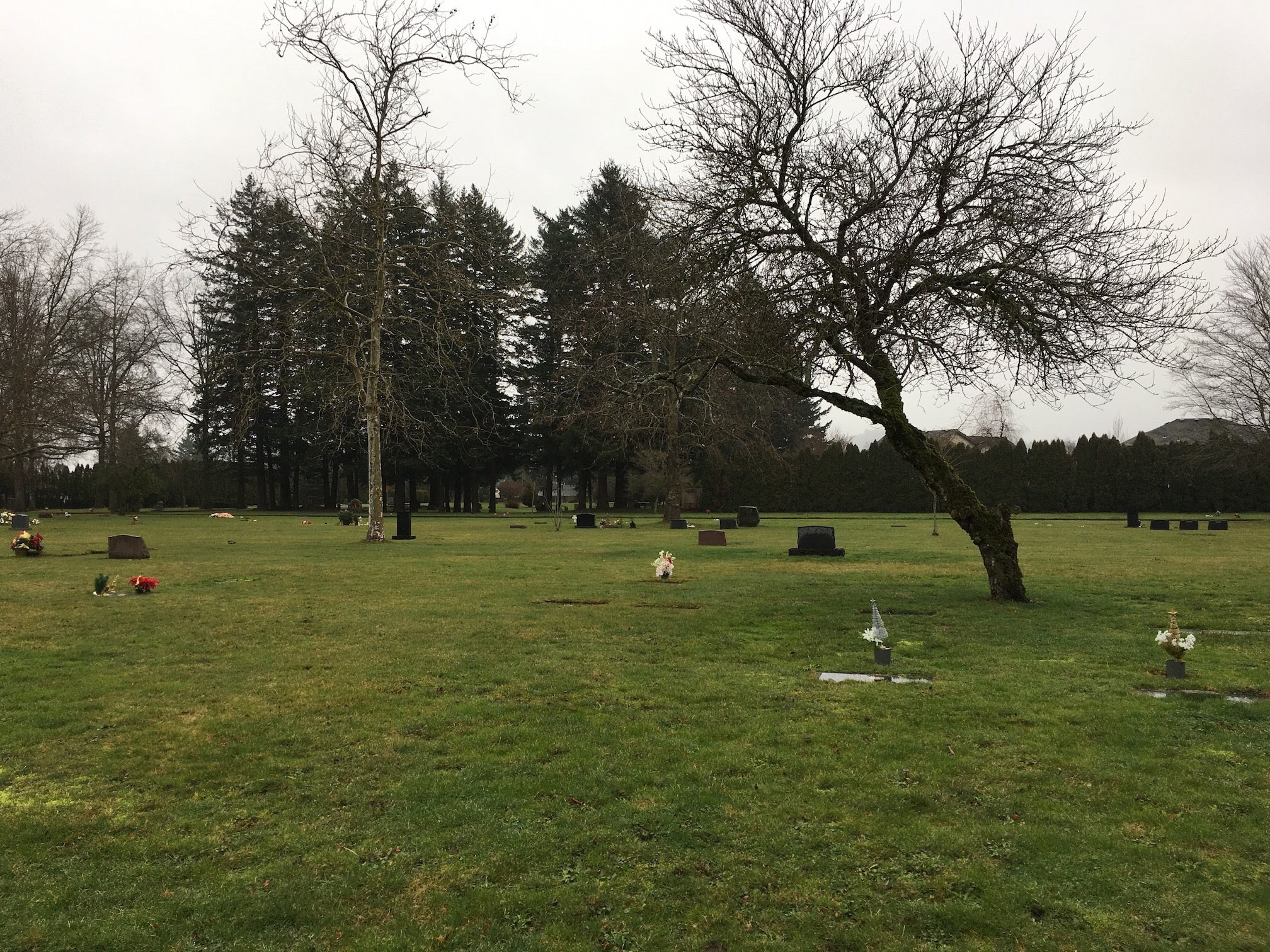 Douglass Cemetery Activities Campground