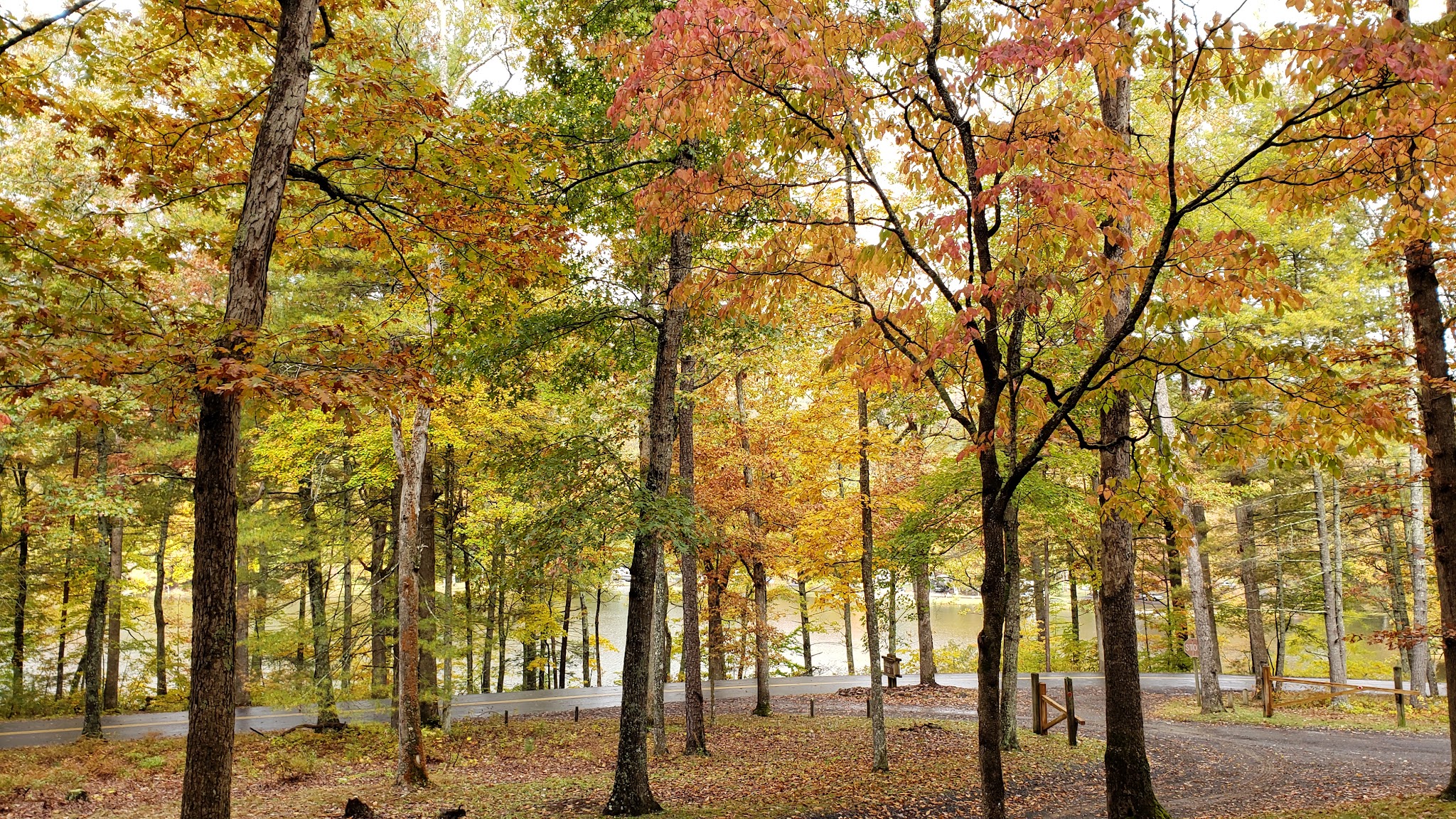 White Oak Campground