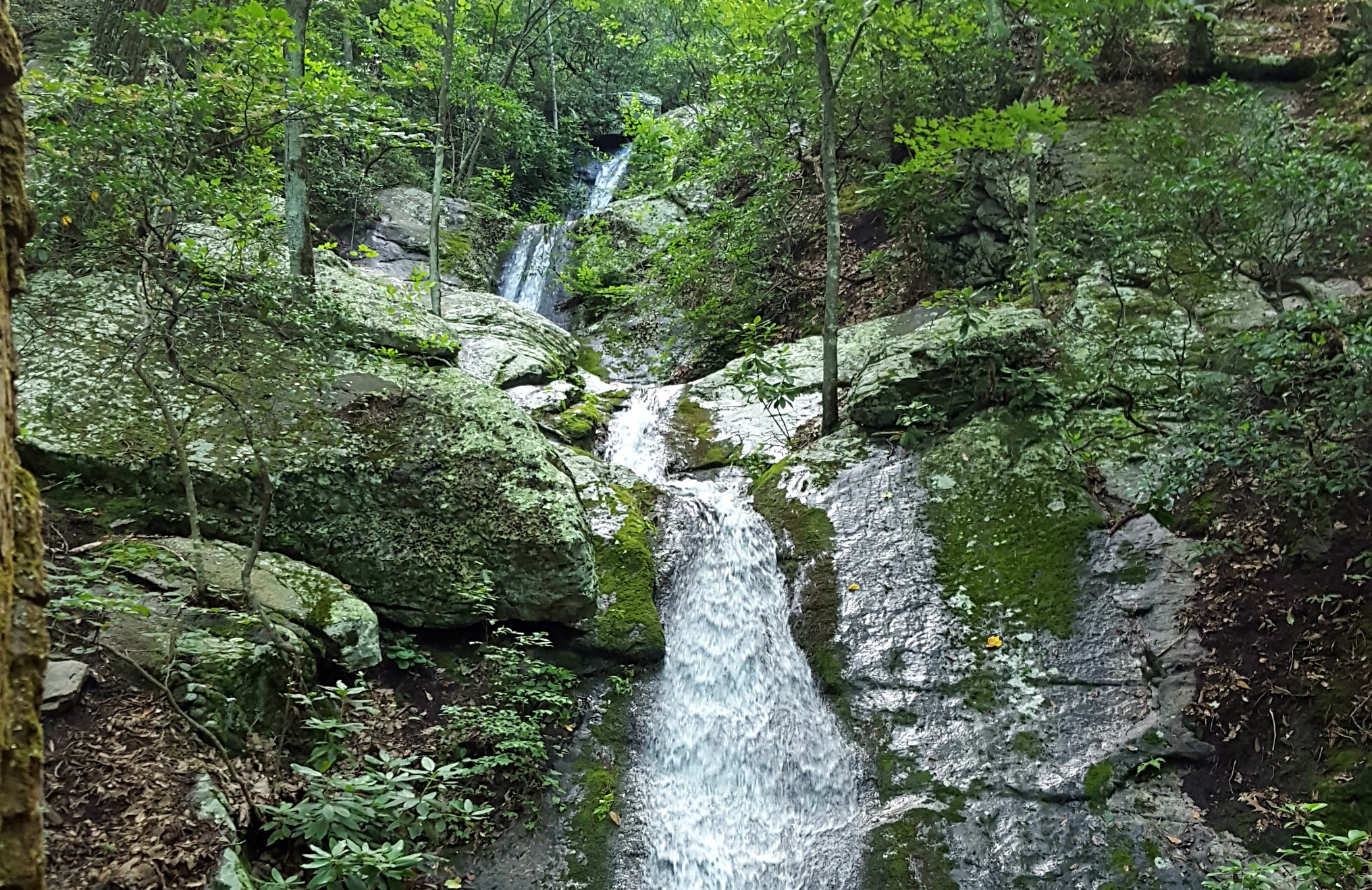 White Oak Campground