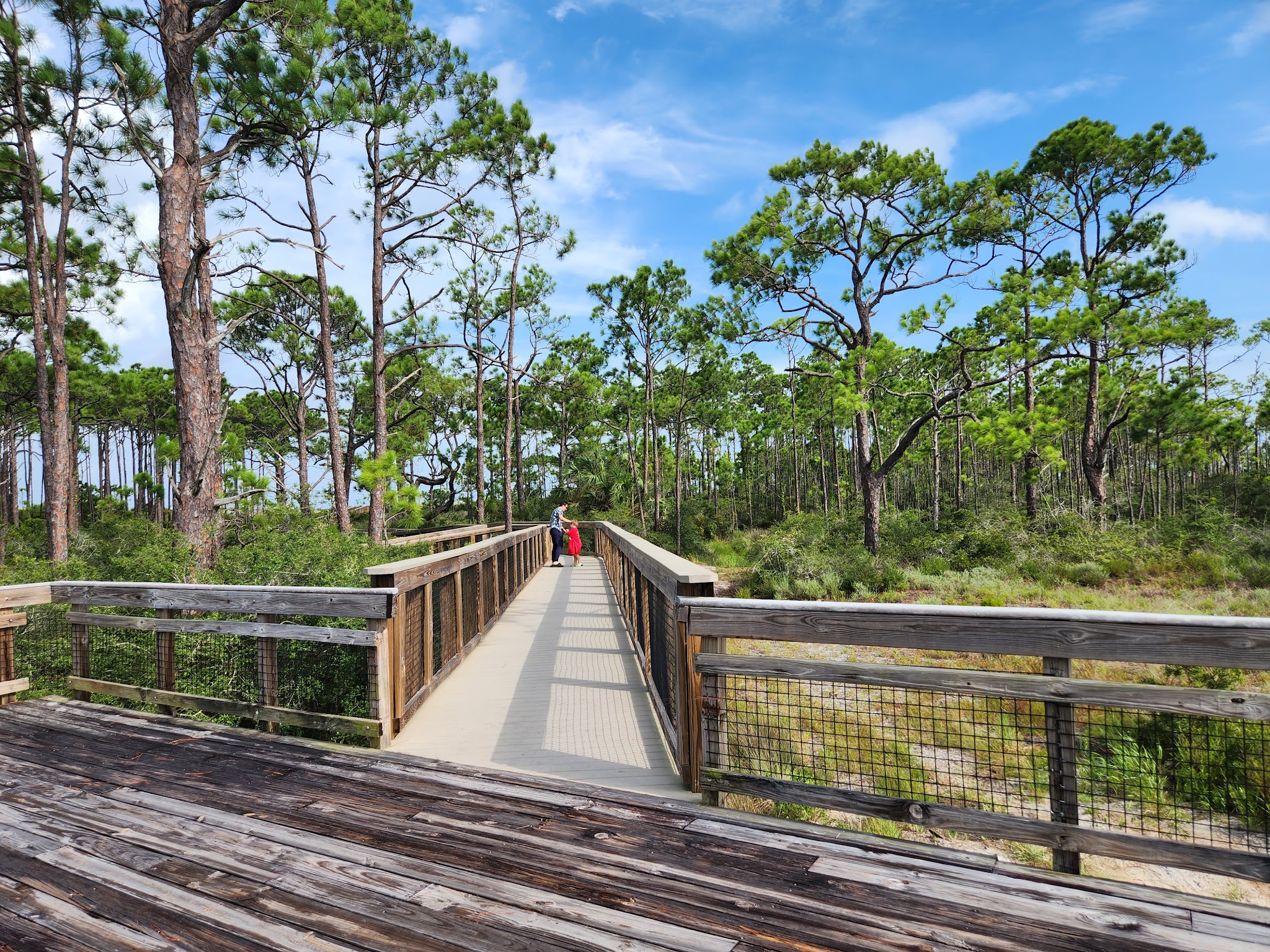 Bald Point State Park Campground