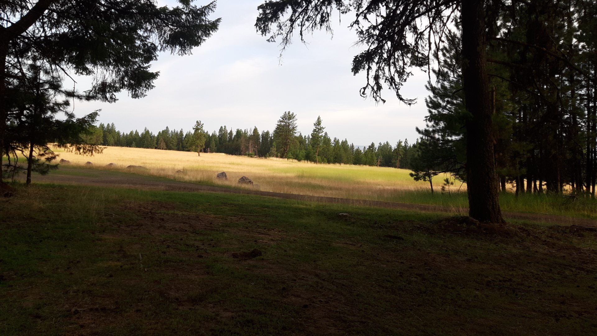 Drift Fence Campground