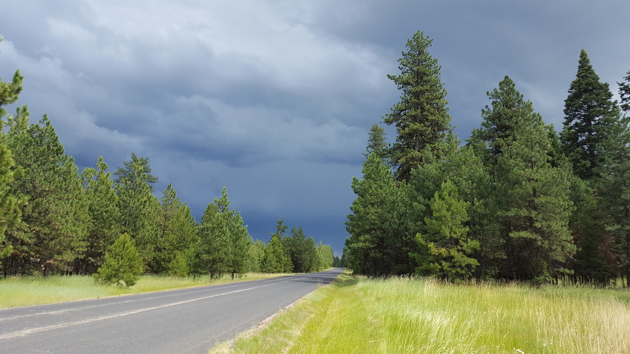 Drift Fence Campground