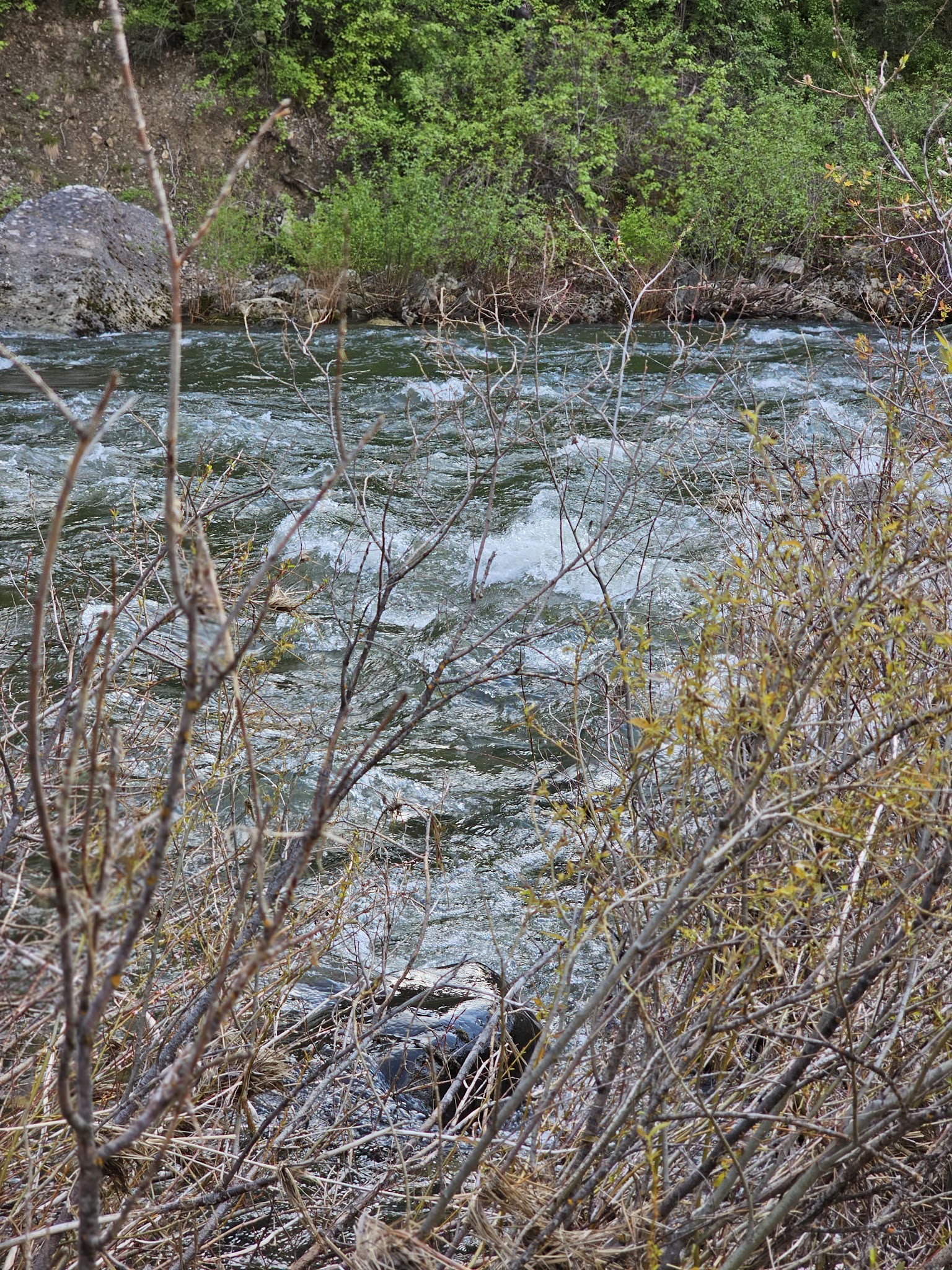 Driftwood Campground