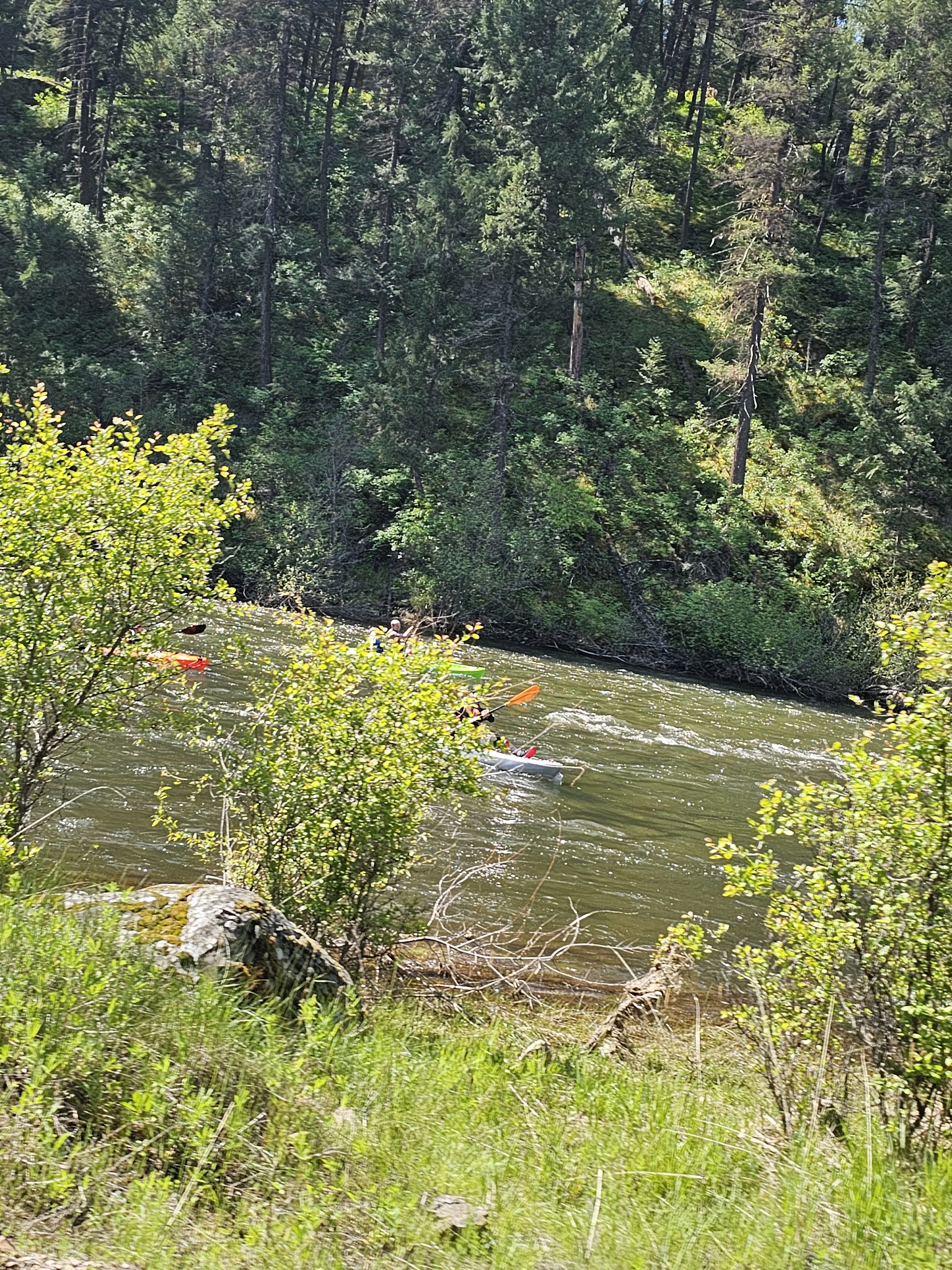 Driftwood Campground