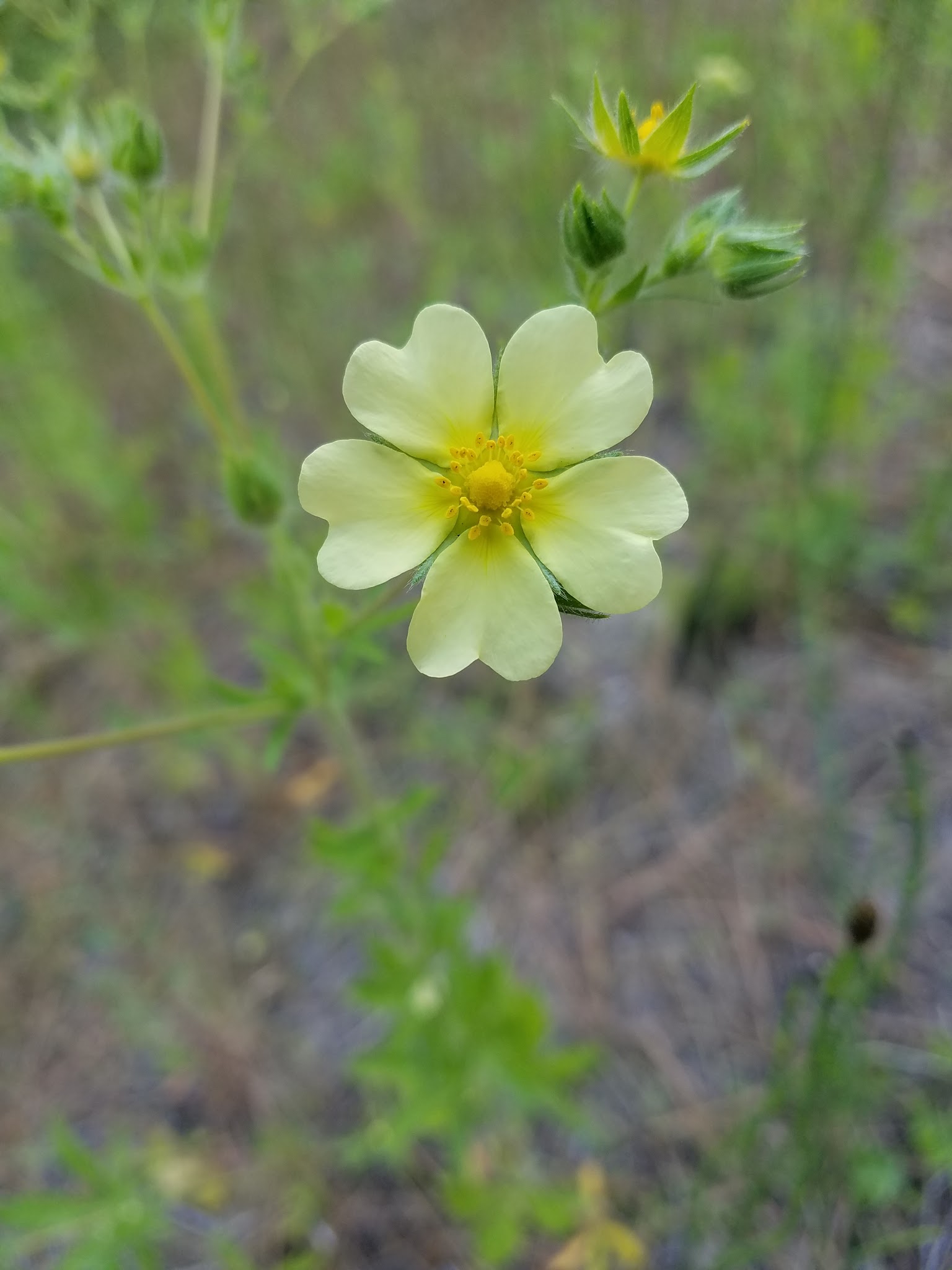 Driftwood Campground