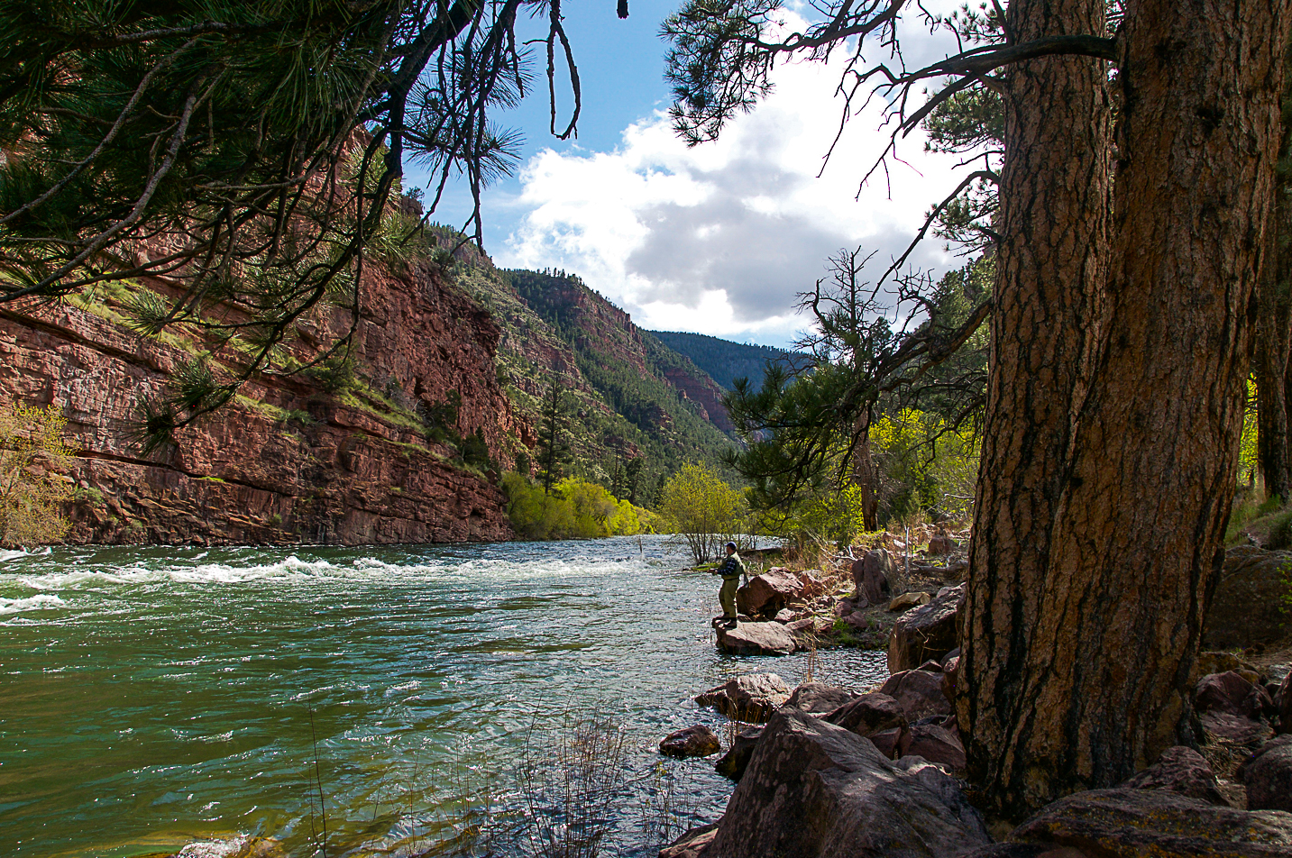Dripping Springs Campground (Ut)