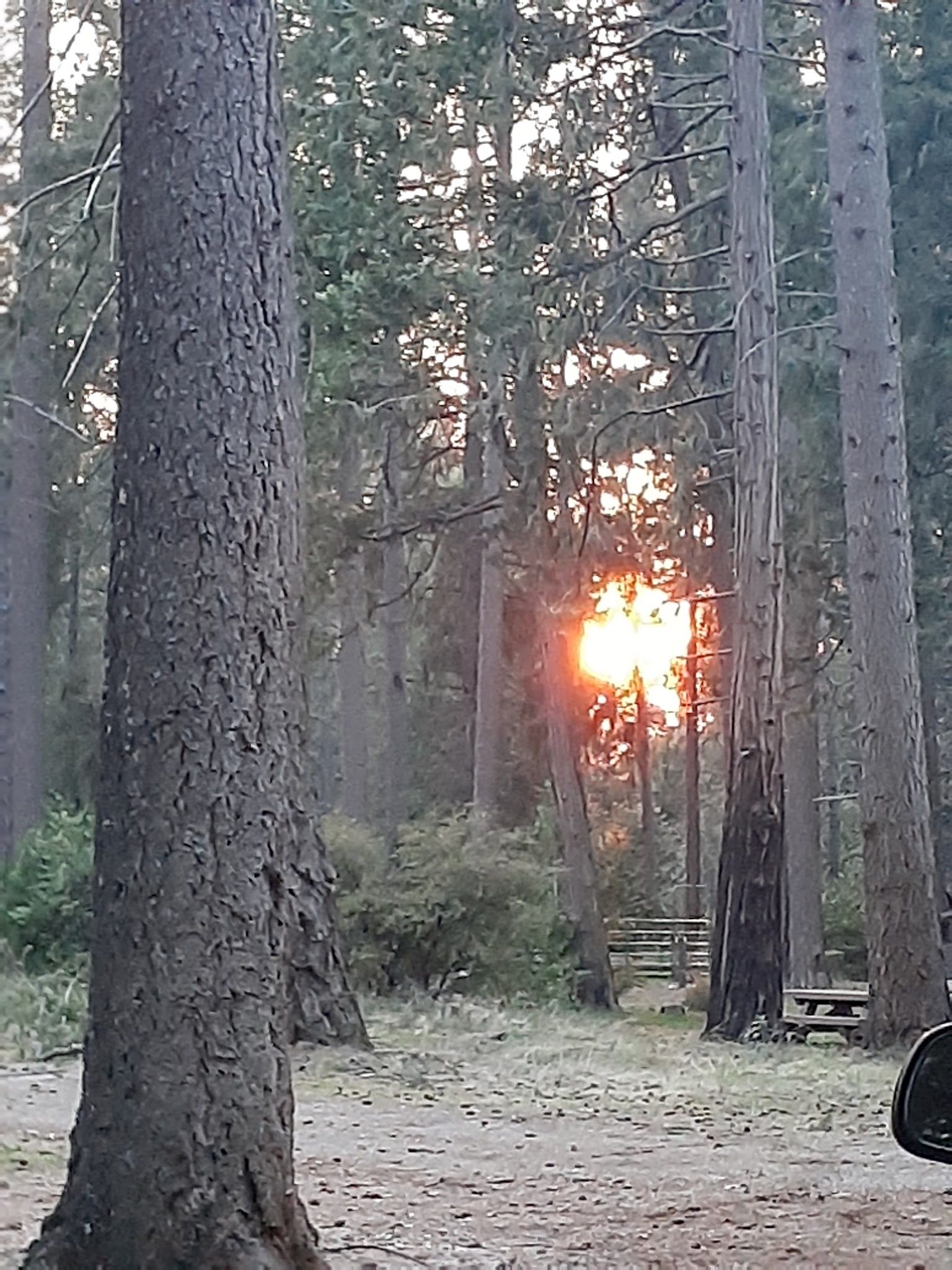 Dru Barner Campground