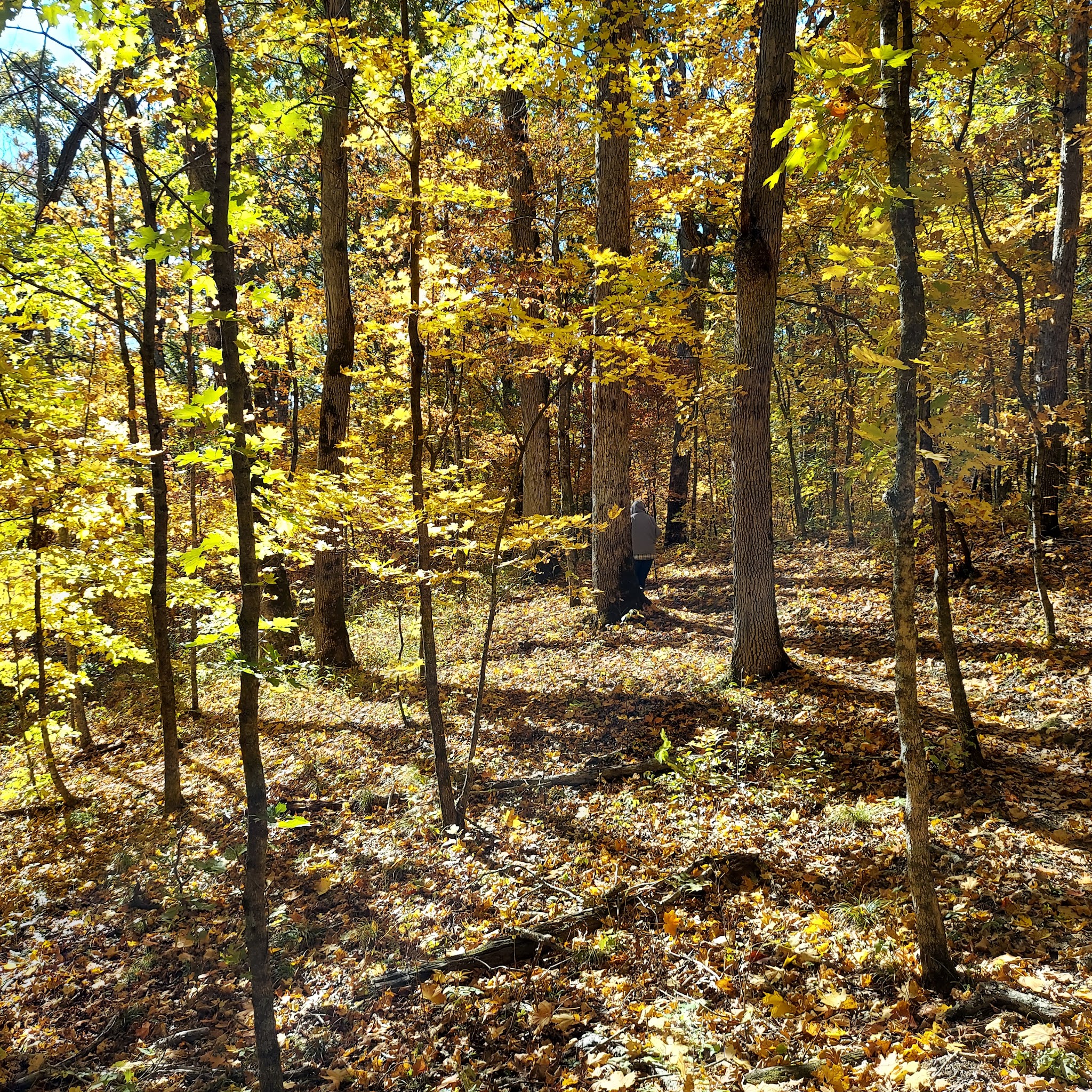 Dry Fork Recreation Area