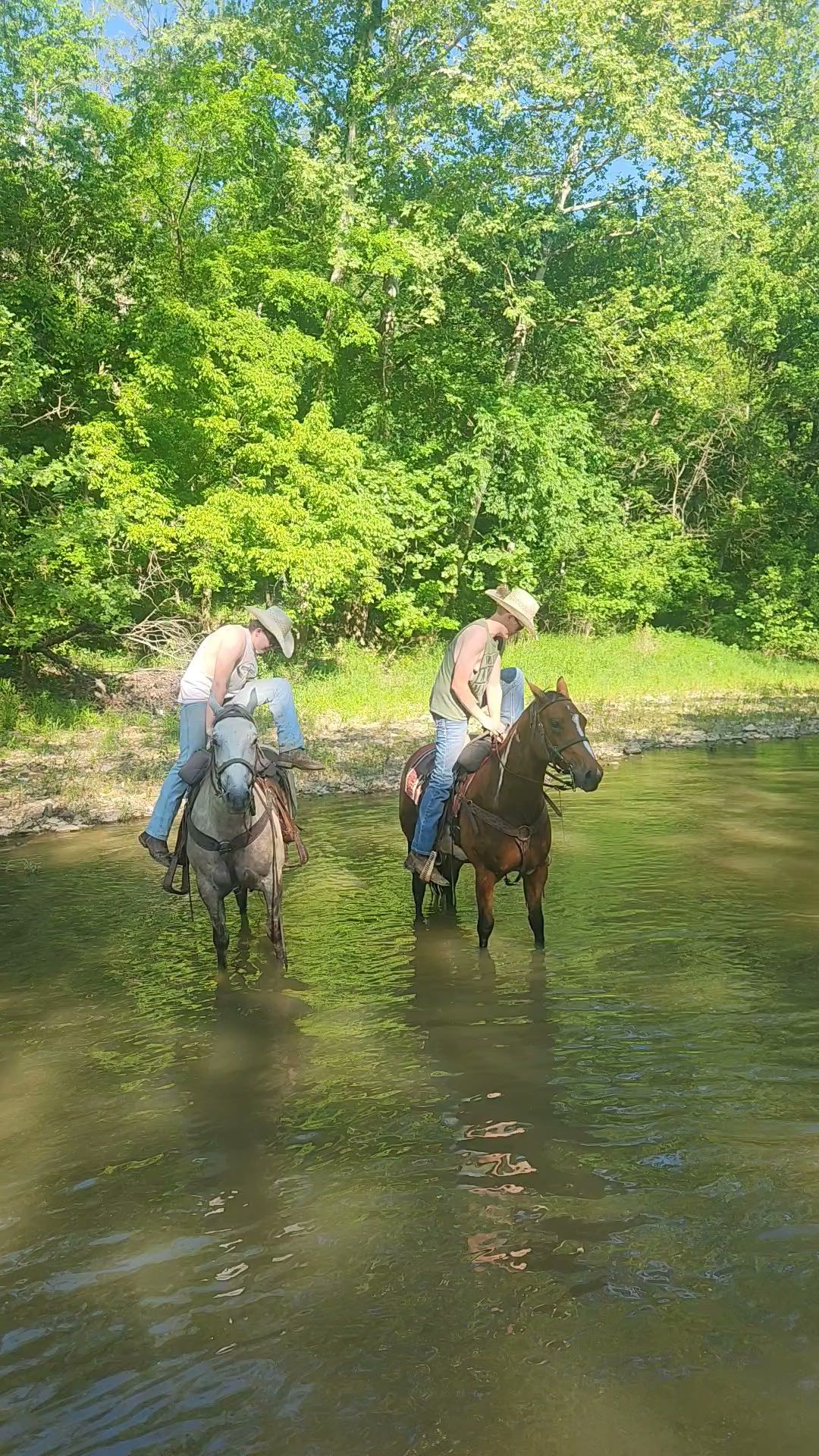 Dry Fork Recreation Area