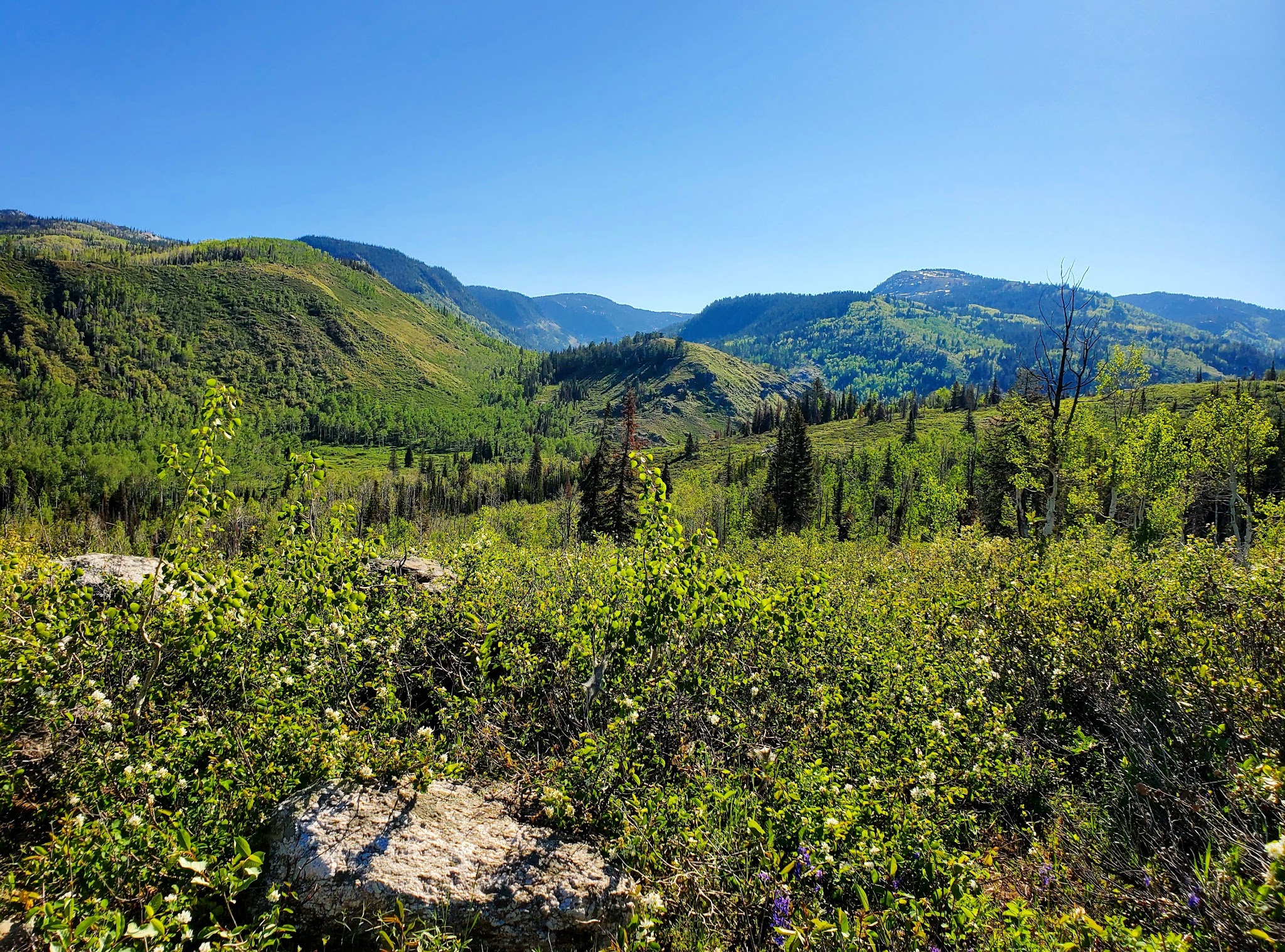 Dry Lake Campground (Co)