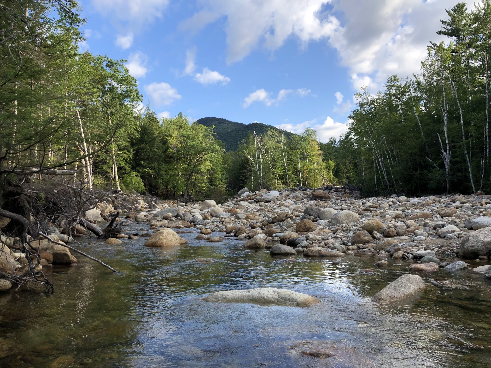 Dry River Campground