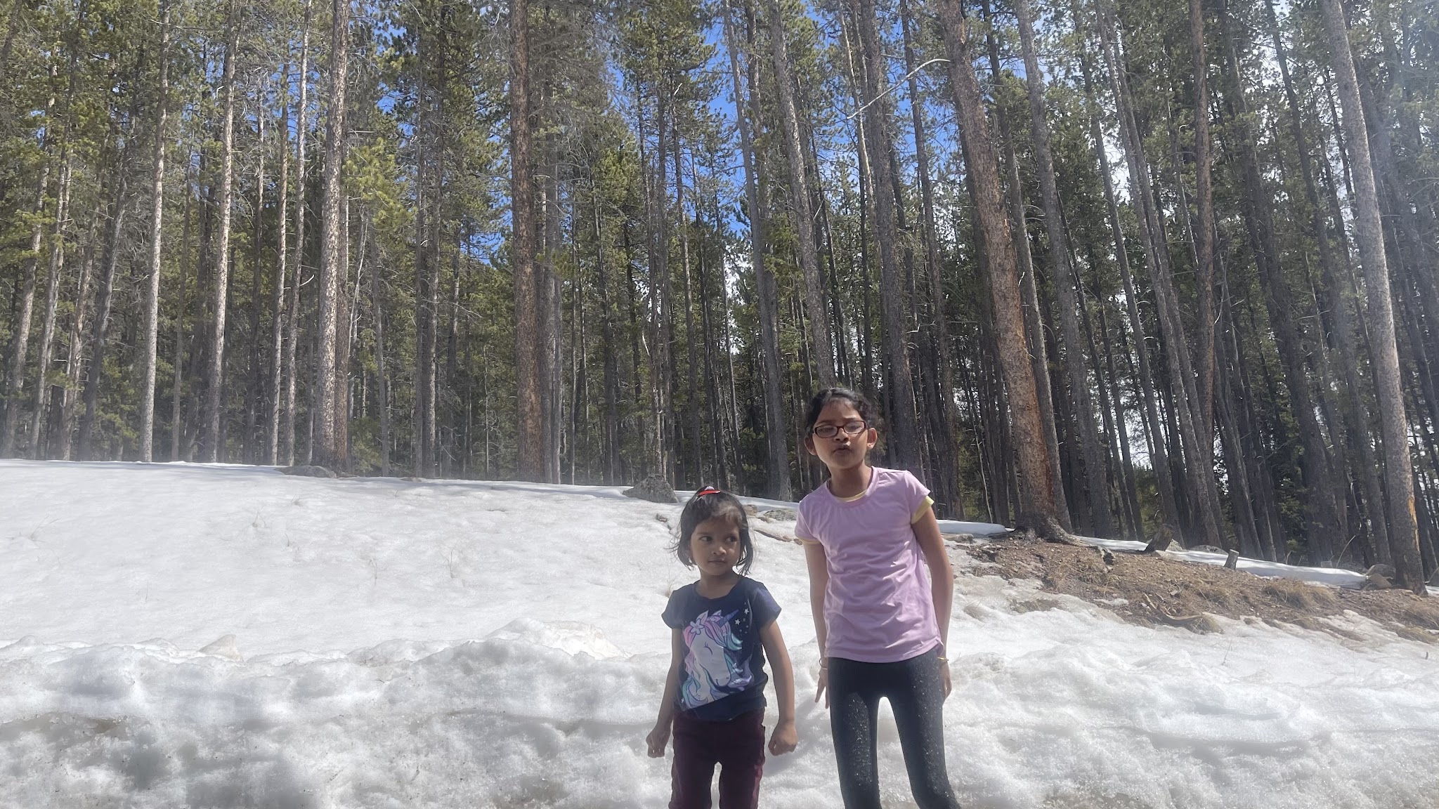 Whiteside Picnic Area