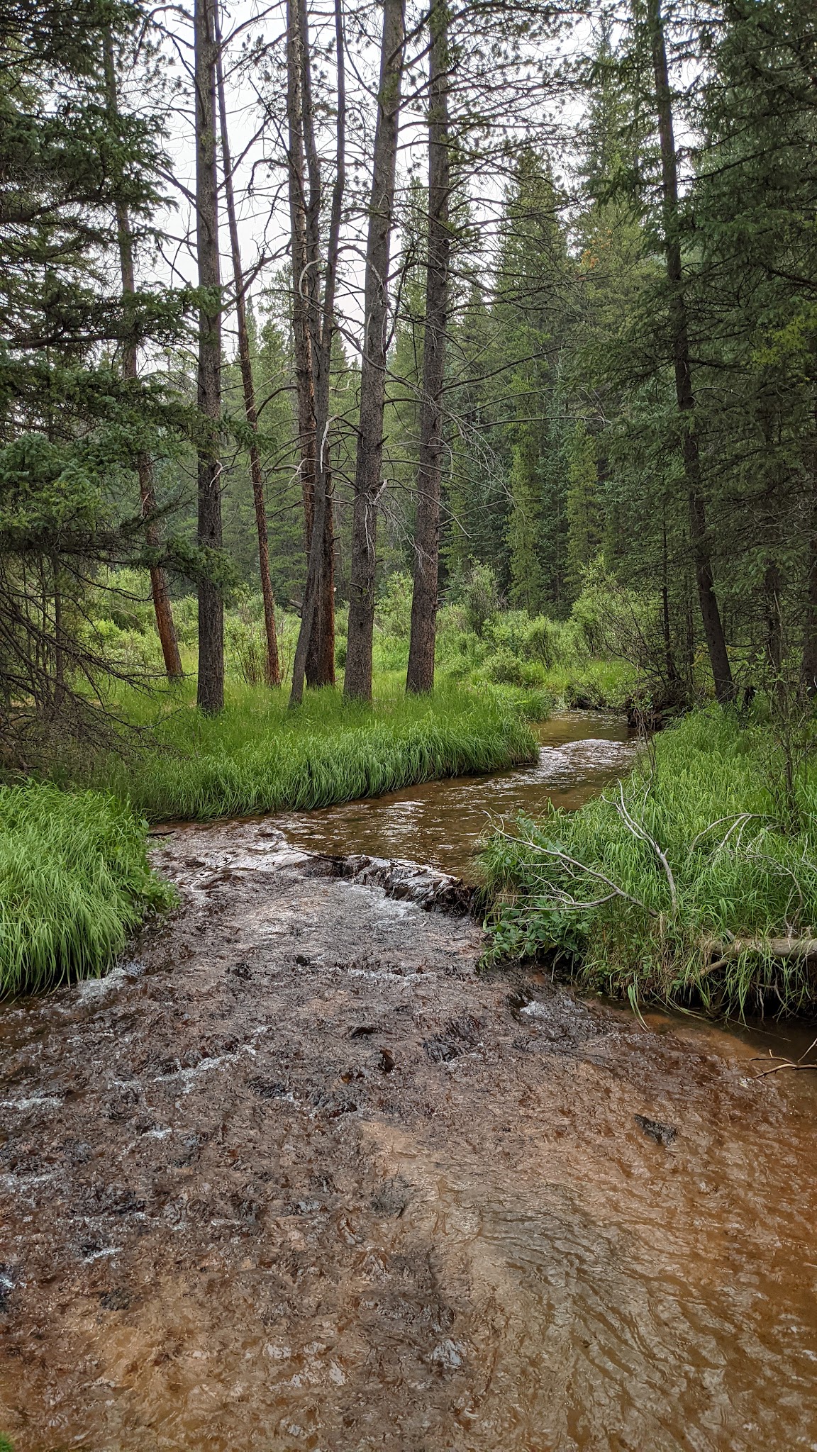 Whiteside Picnic Area