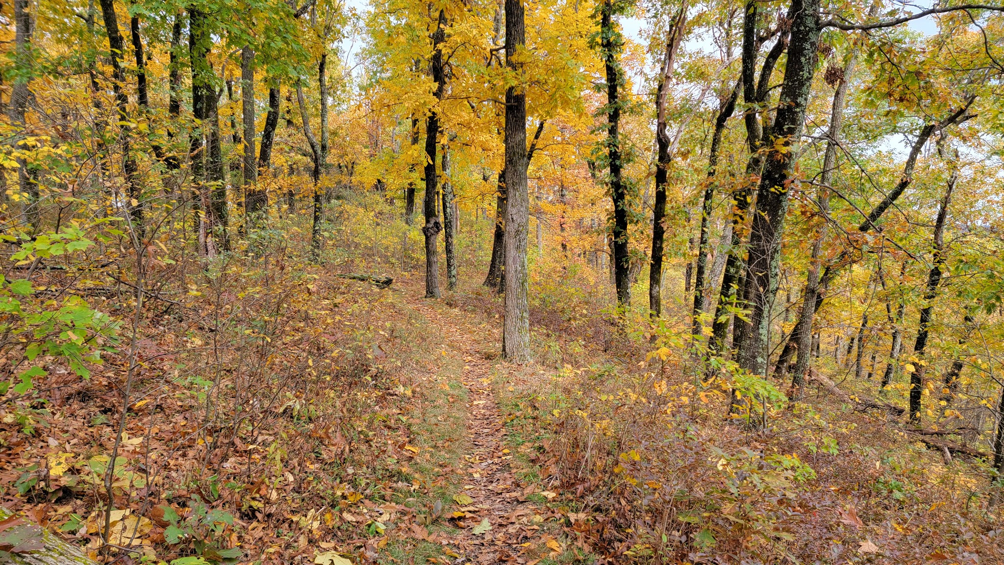 Dundo Group Campground