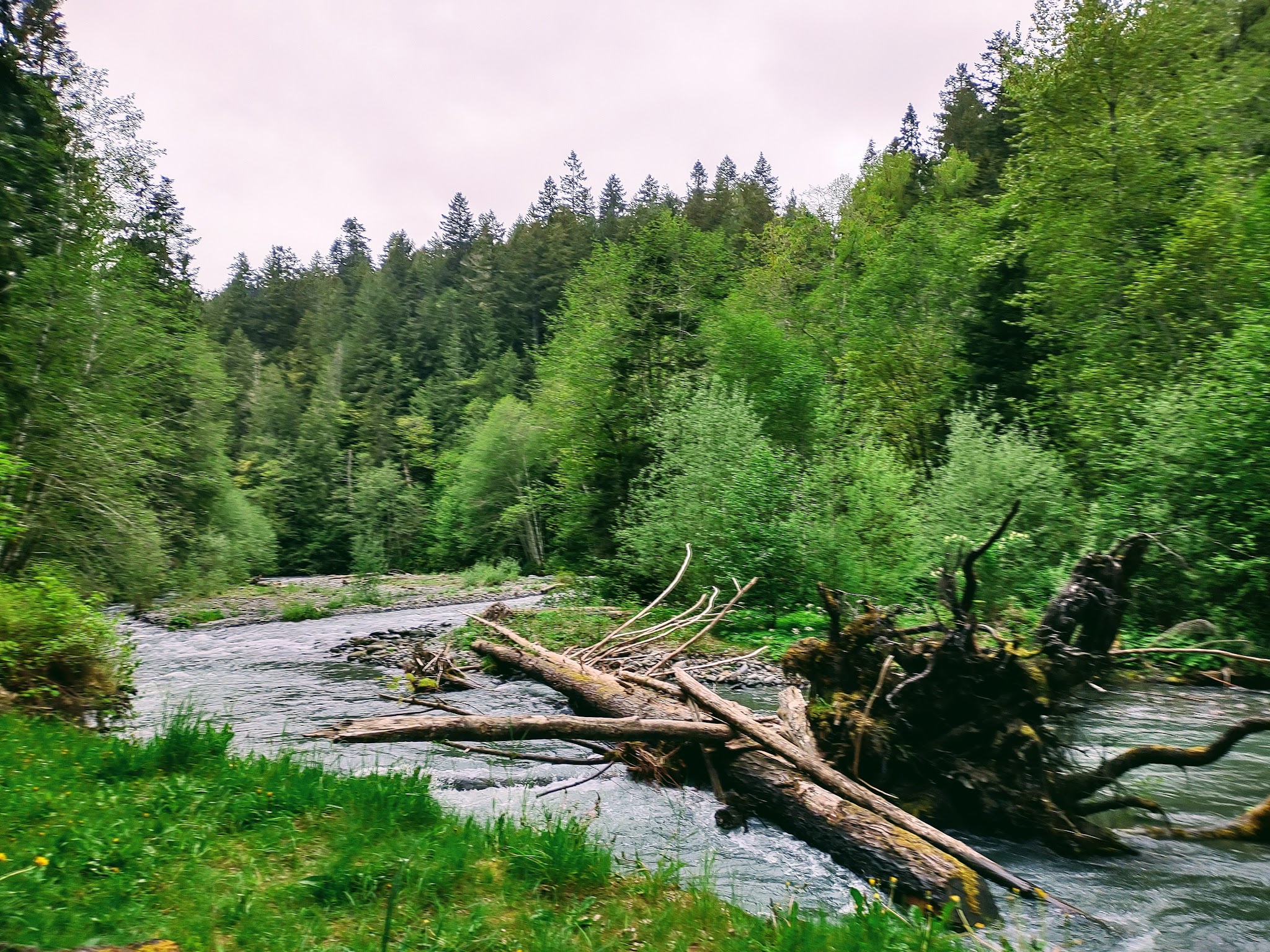 Dungeness Forks Campground