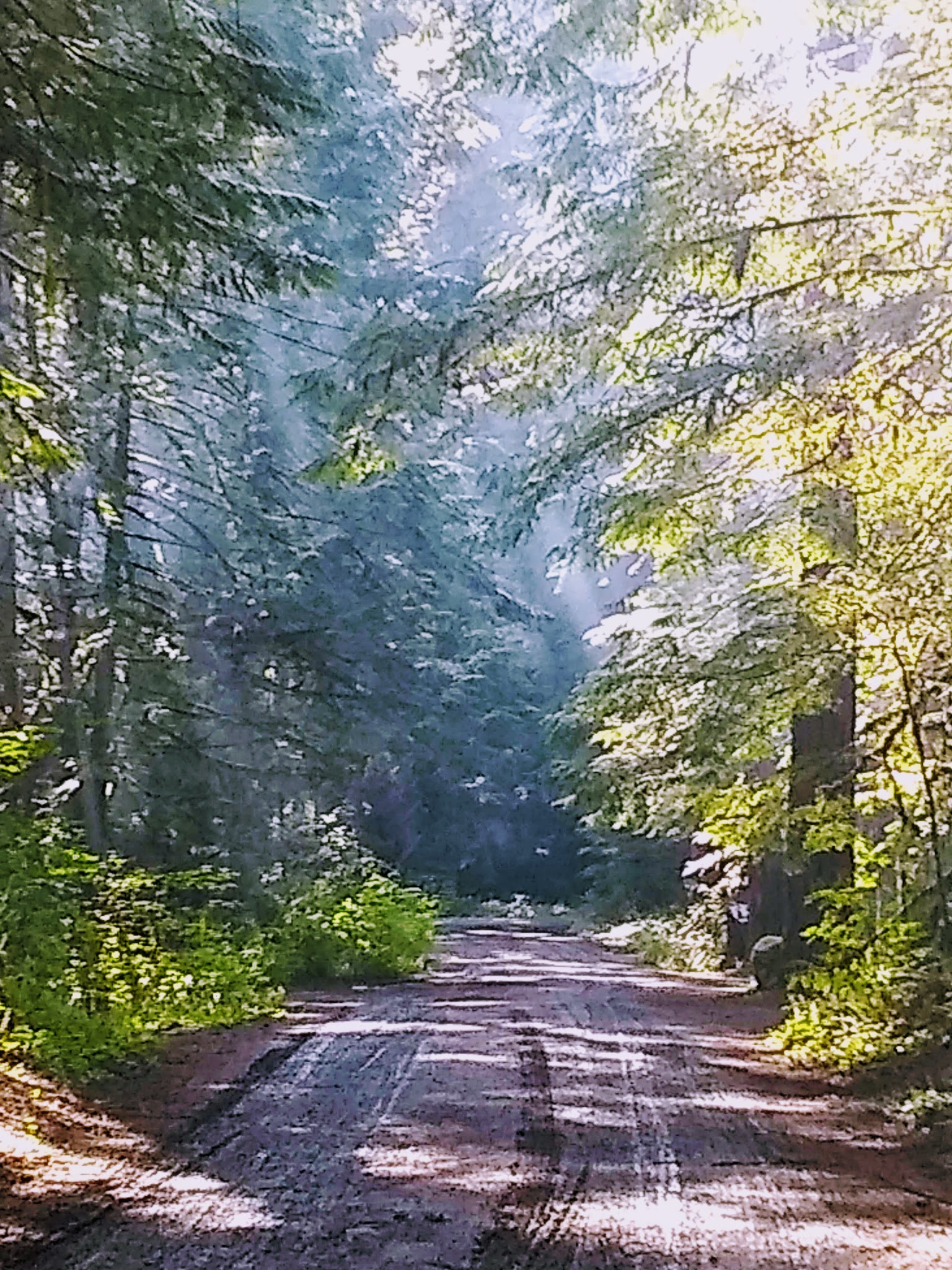 Dungeness Forks Campground