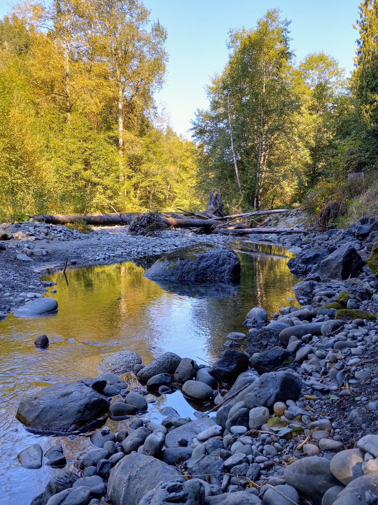 Dungeness Forks Campground