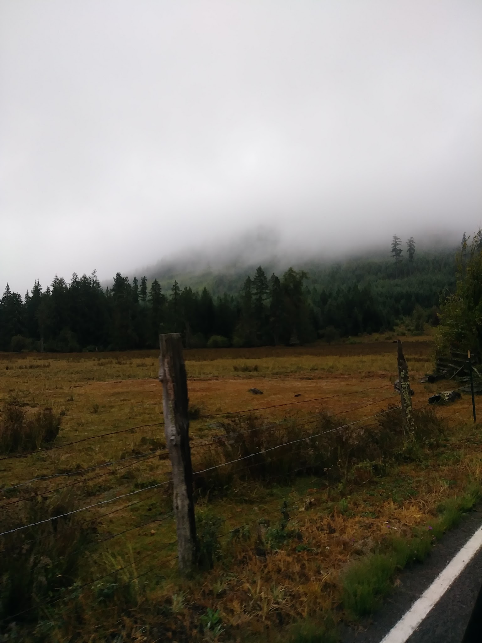 Dungeness Forks Campground