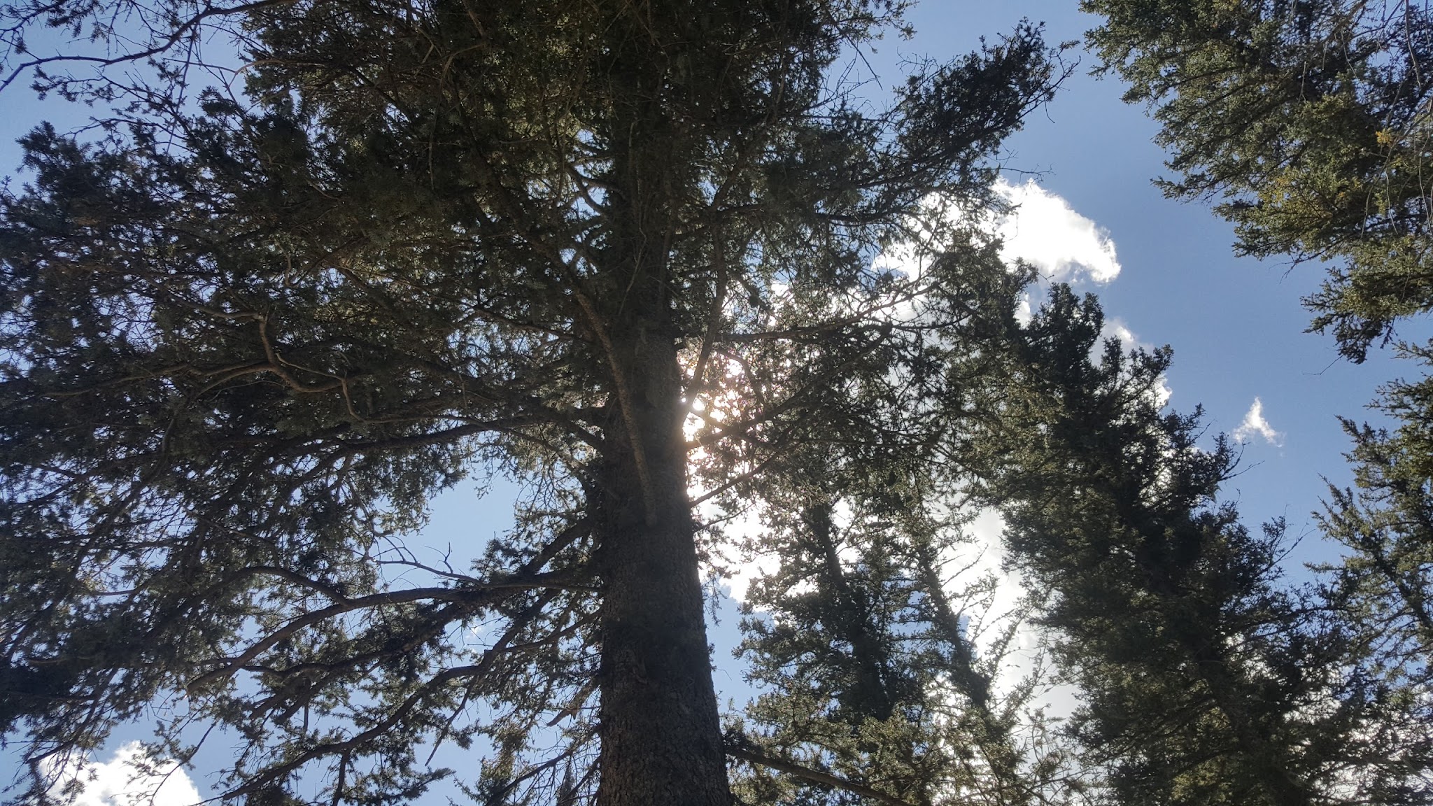 Duran Canyon Campground