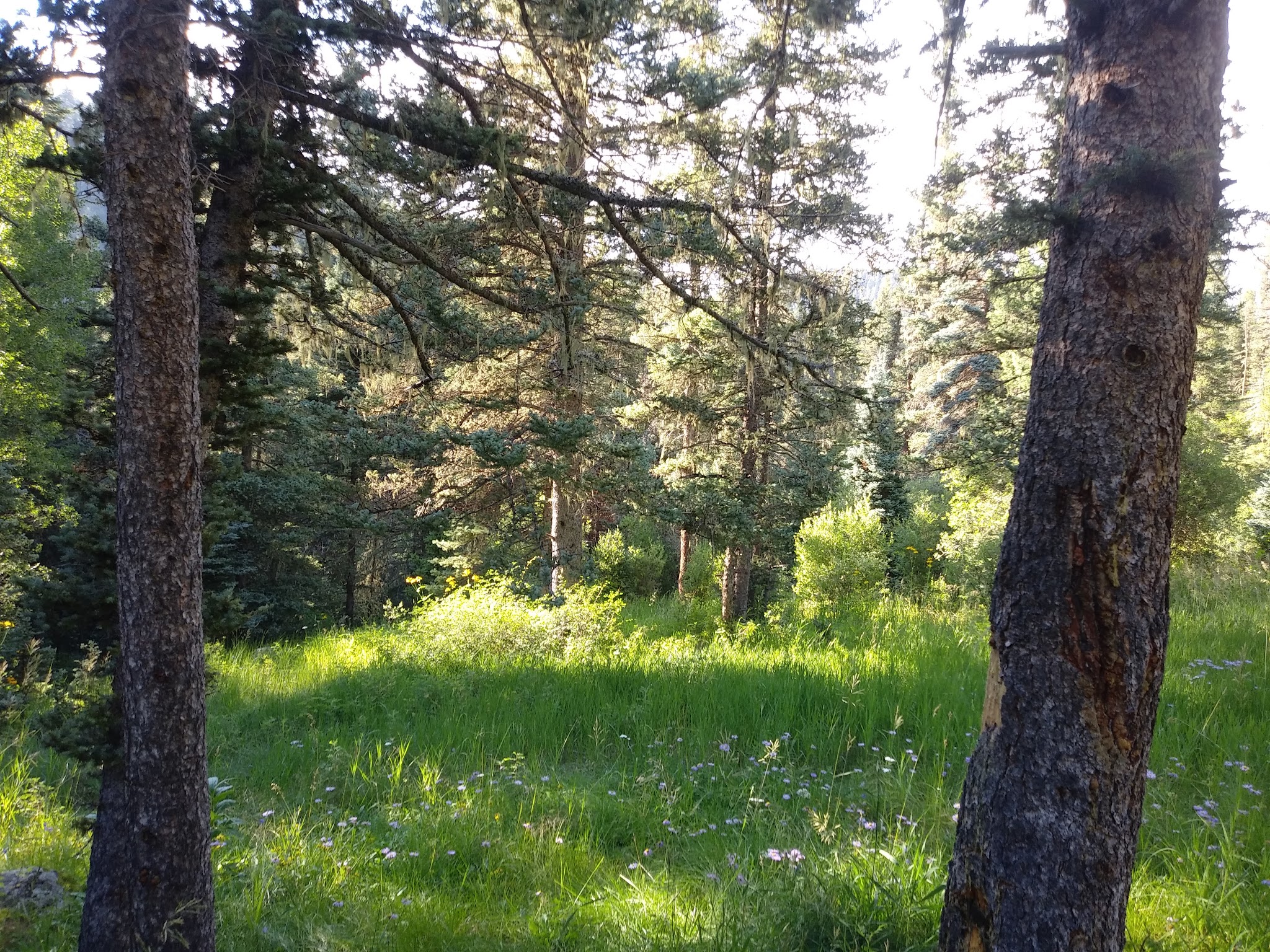 Duran Canyon Campground