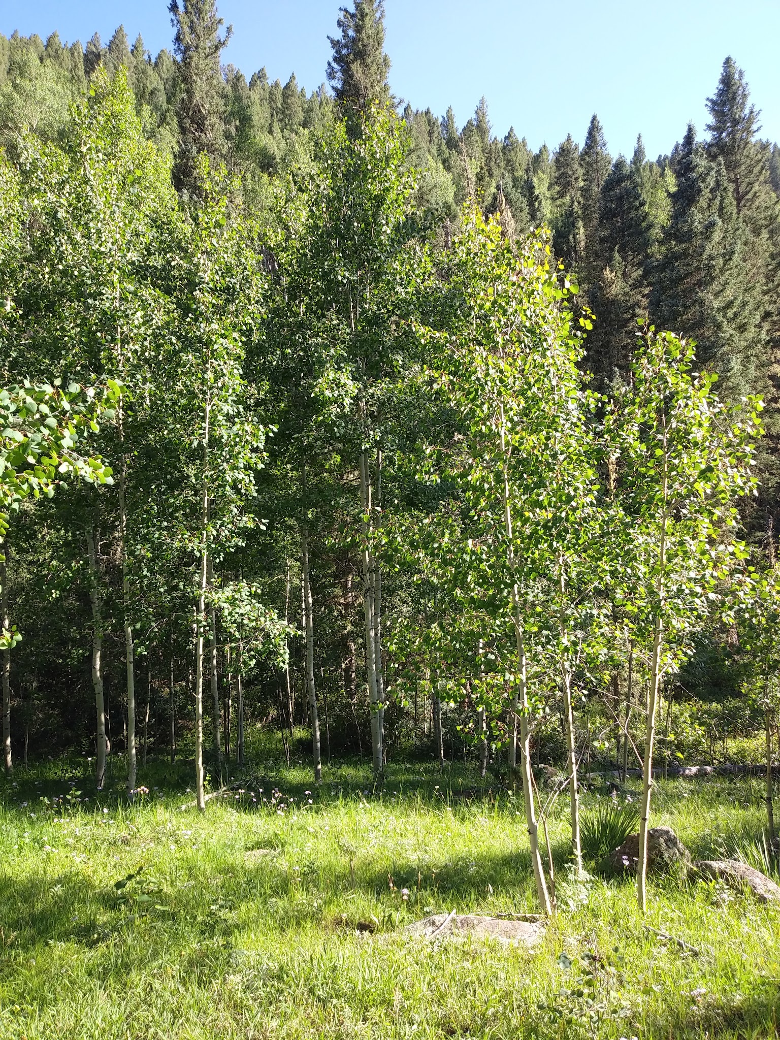 Duran Canyon Campground