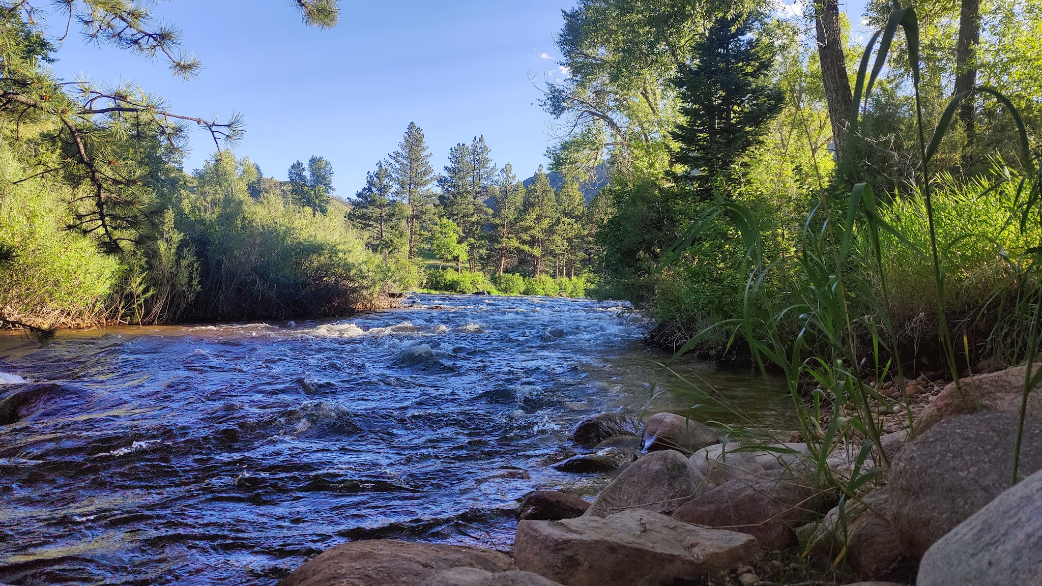 Dutch George Campground