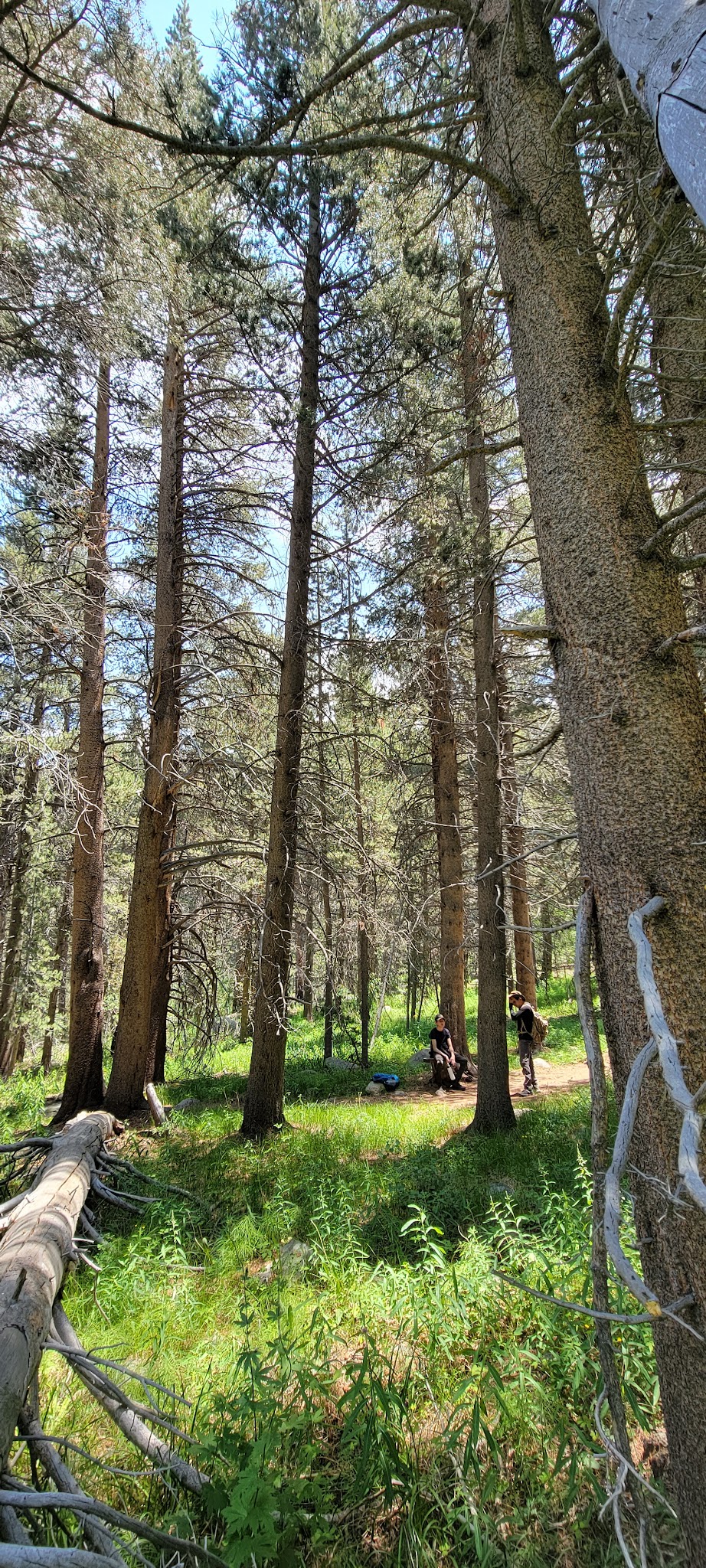 East Fork Campground