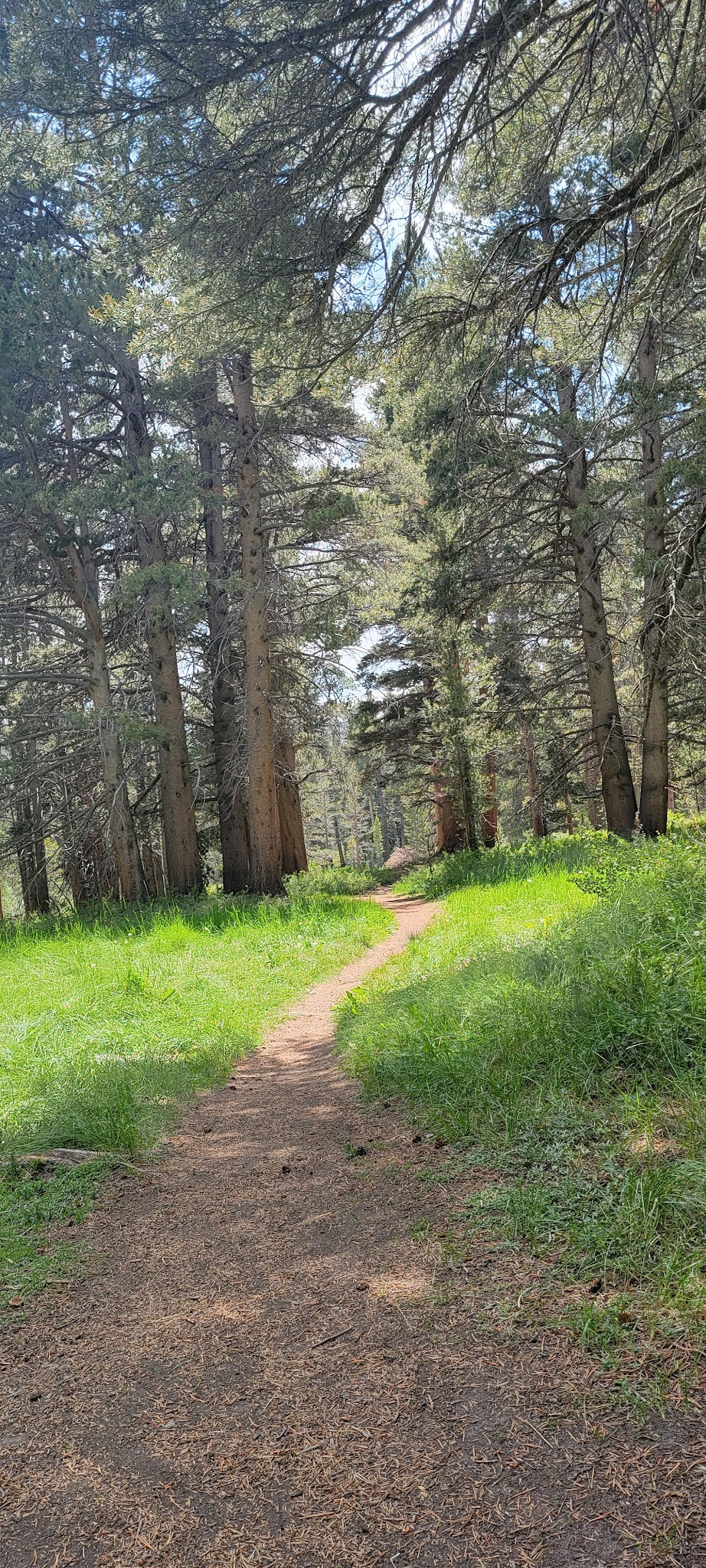 East Fork Campground