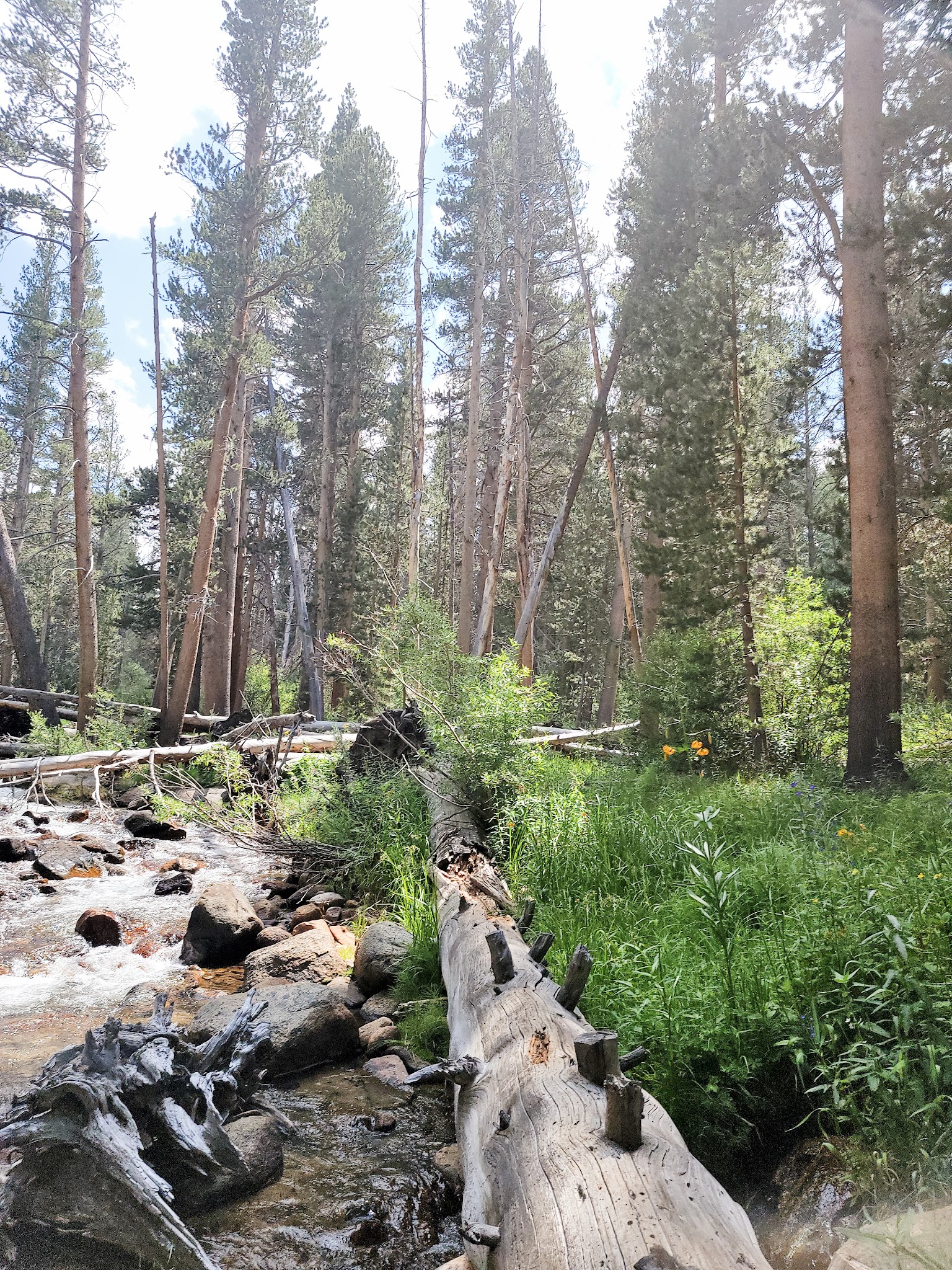 East Fork Campground