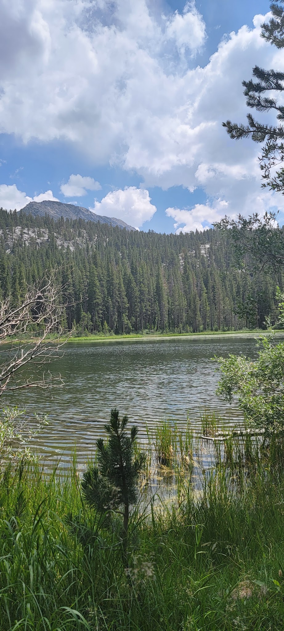 East Fork Campground