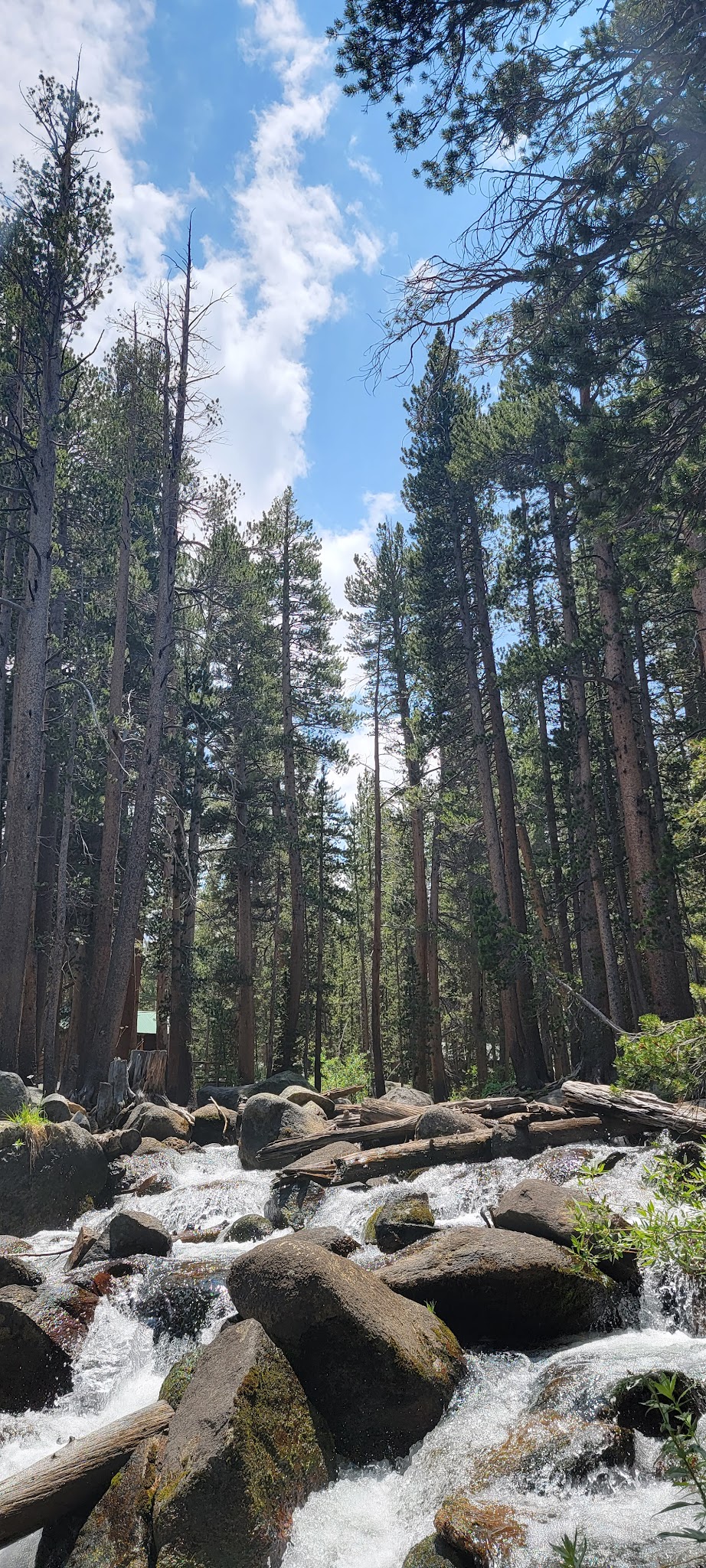 East Fork Campground