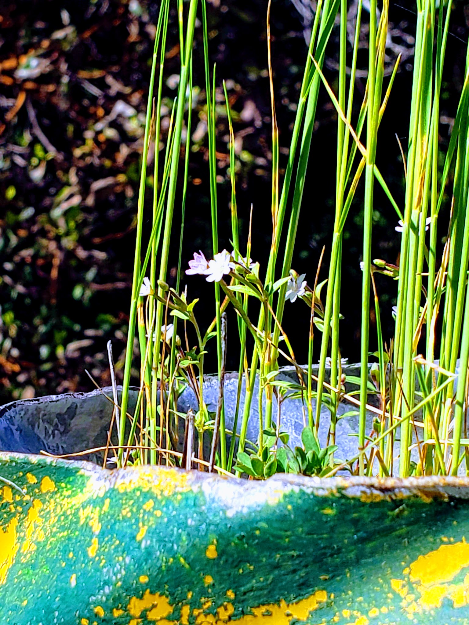 E-Ne-Nuck Campground