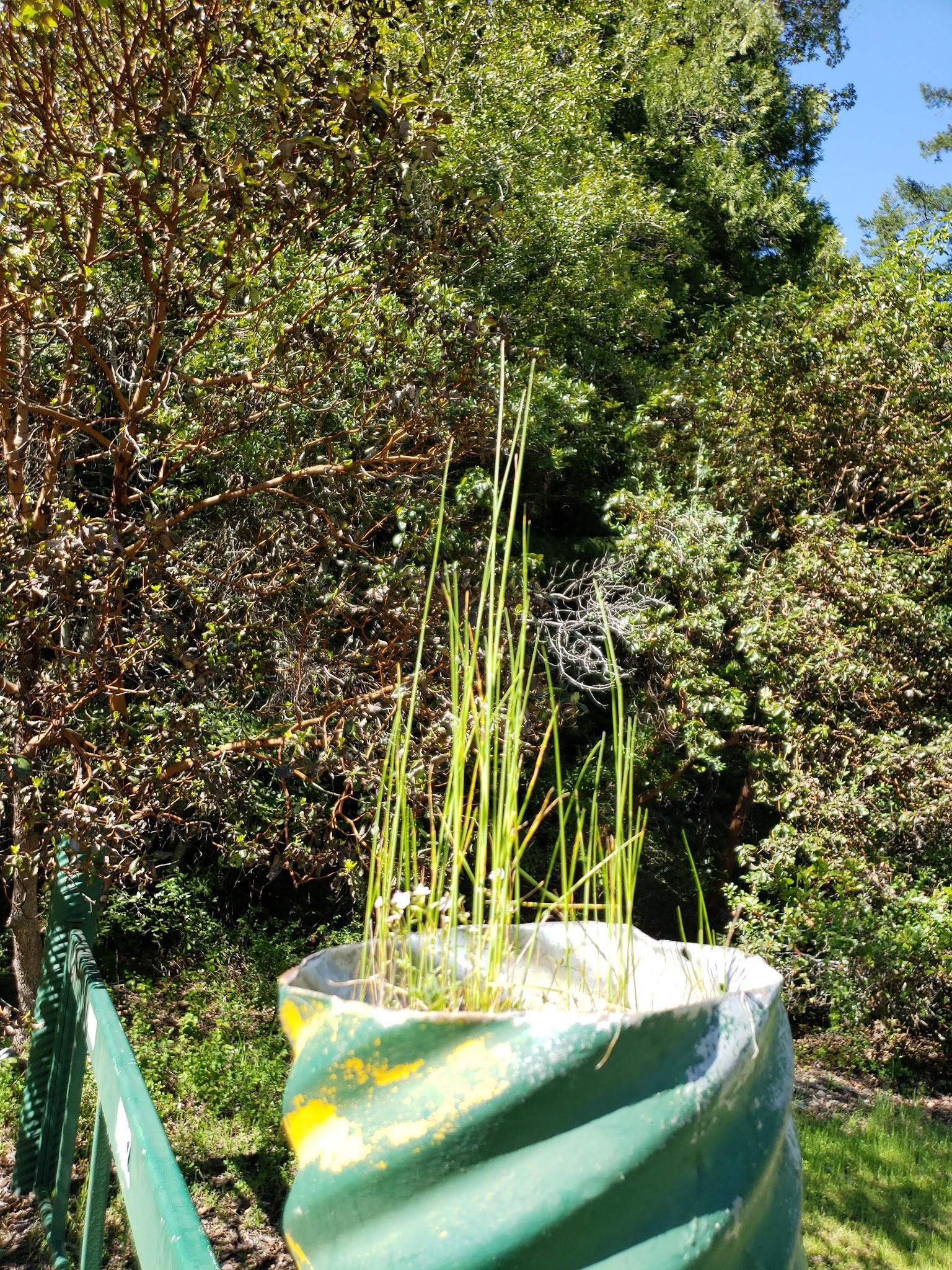 E-Ne-Nuck Campground