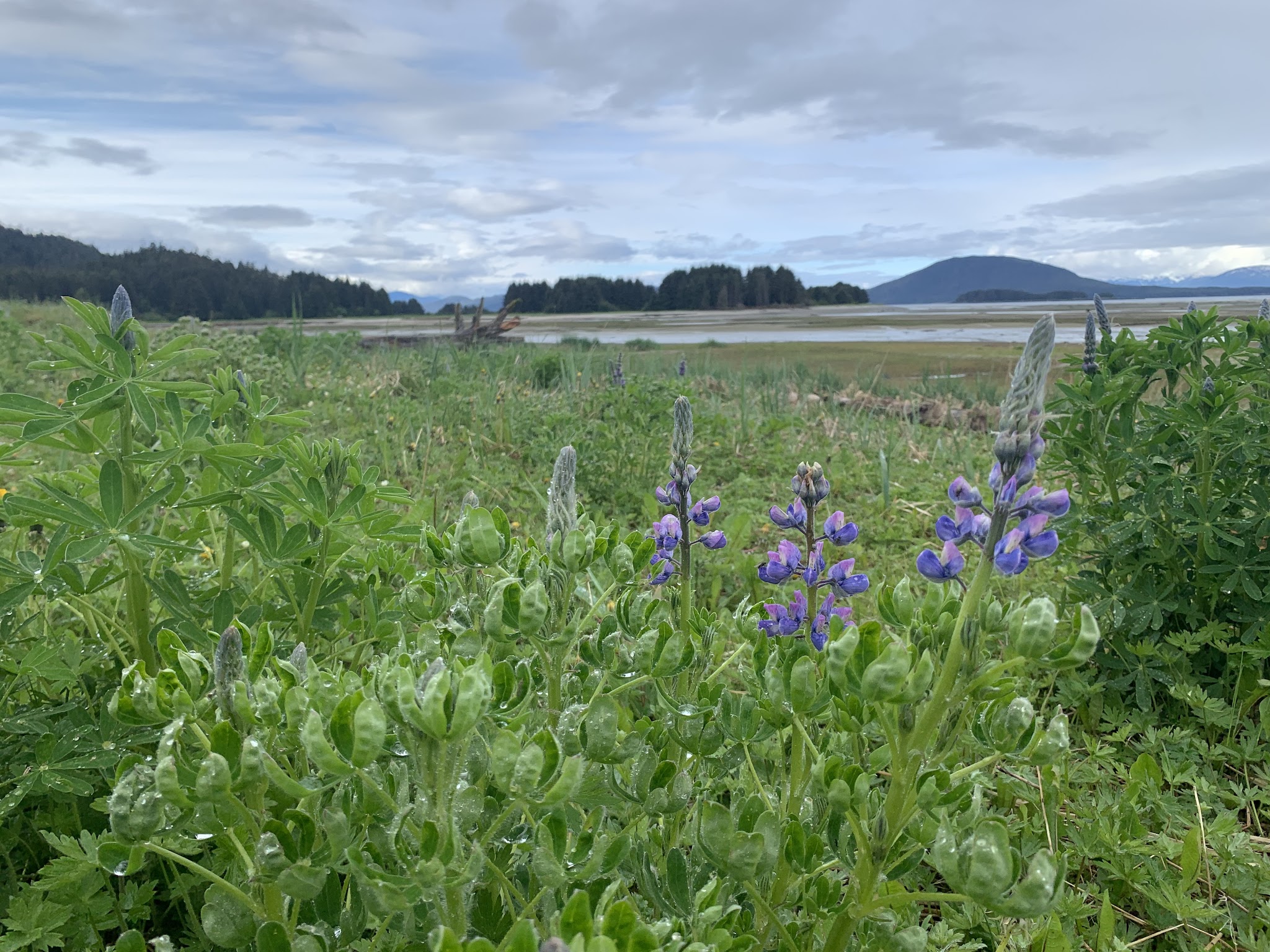 Eagle Beach State Recreation Area