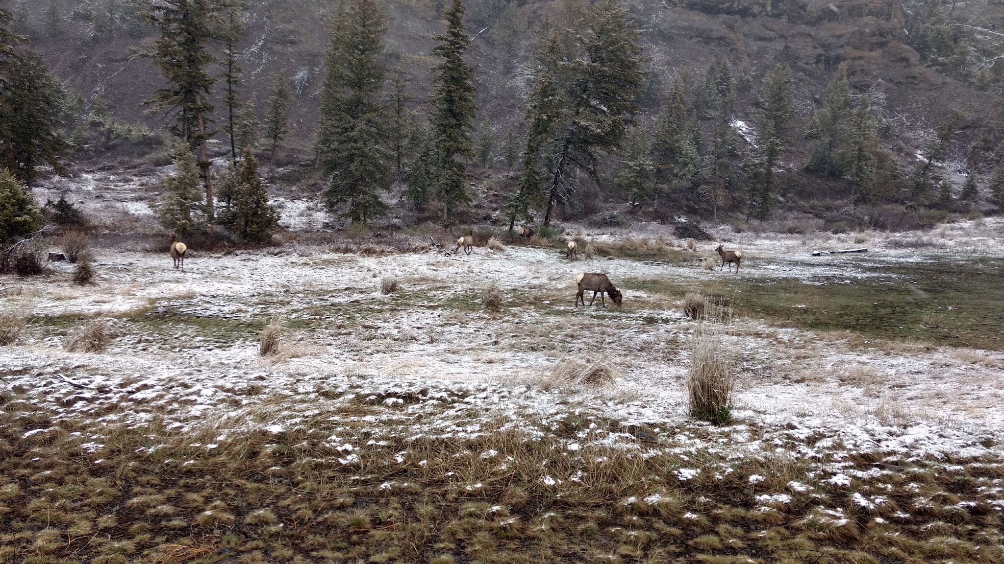 Eagle Creek Campground