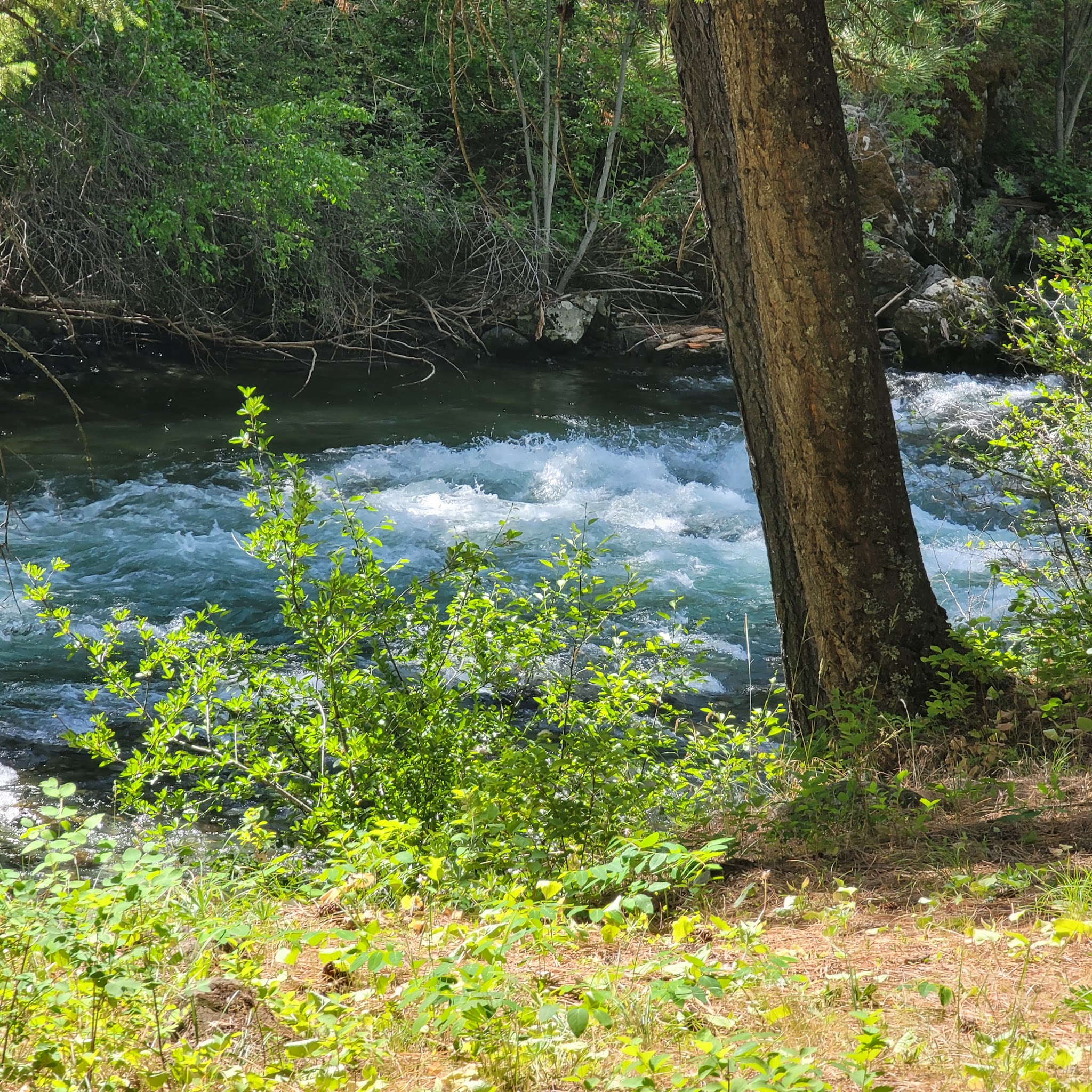Eagle Forks Campground