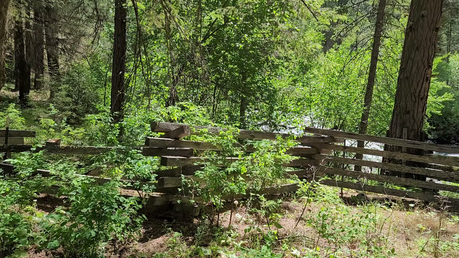 Eagle Forks Campground