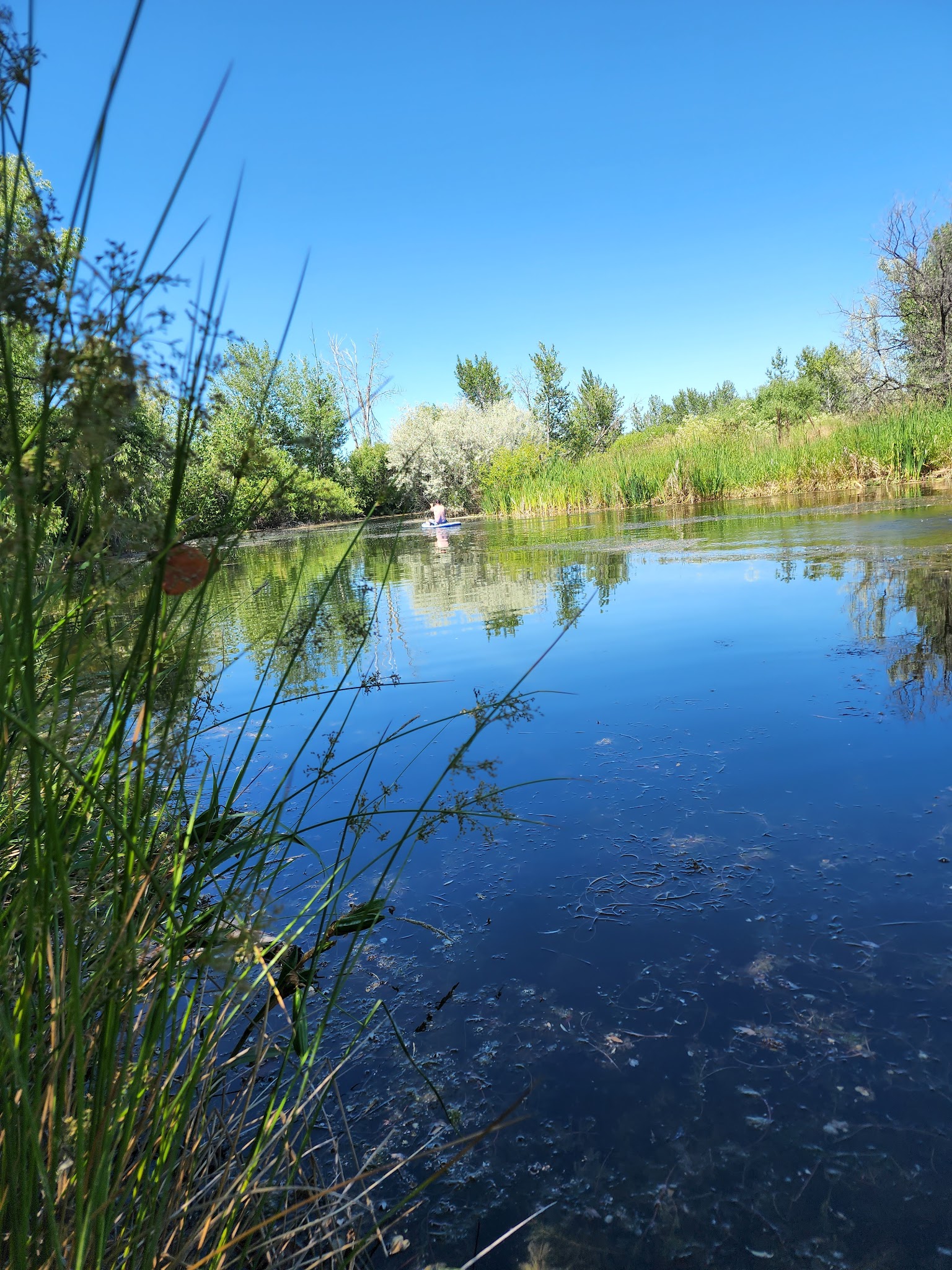 Eagle Island State Park
