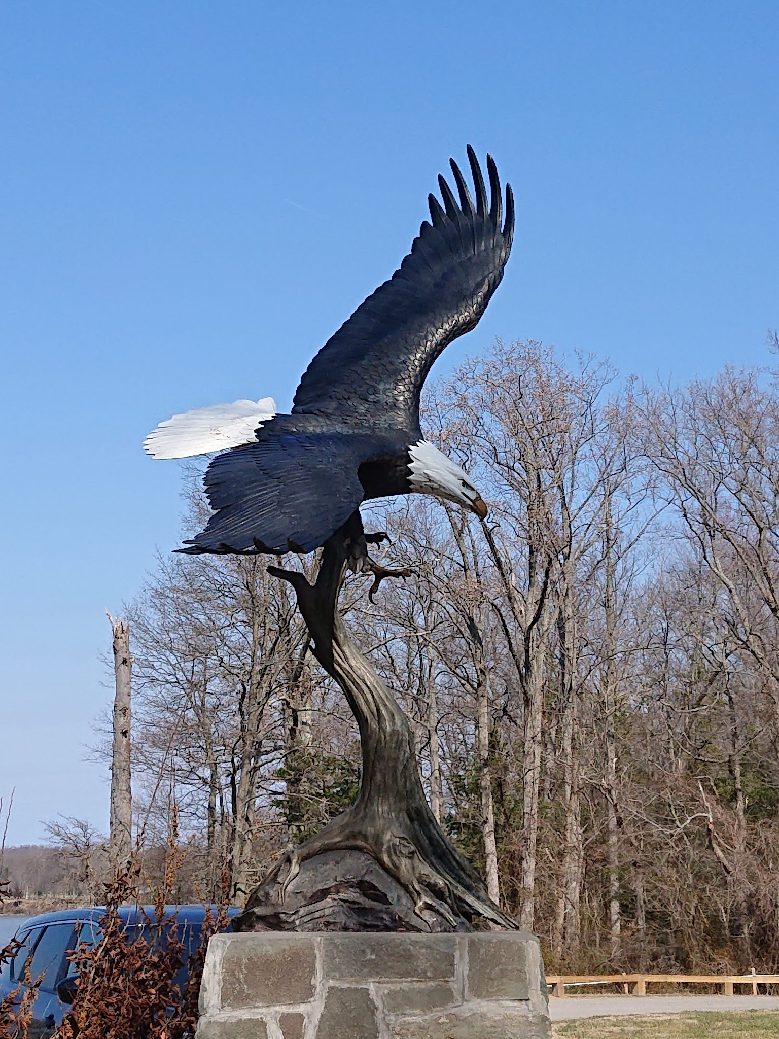 Paddle In Campground