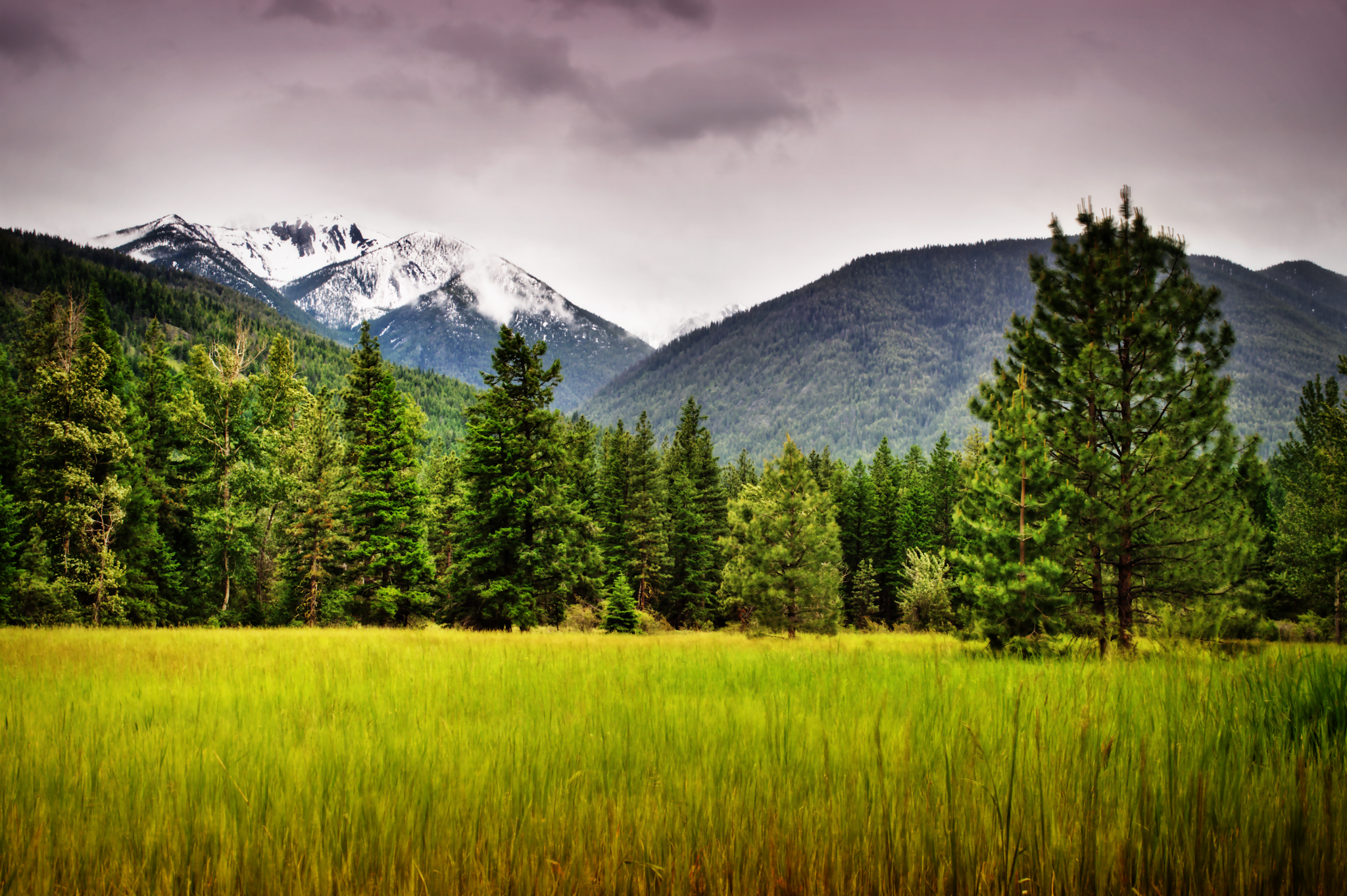 Early Winters Campground