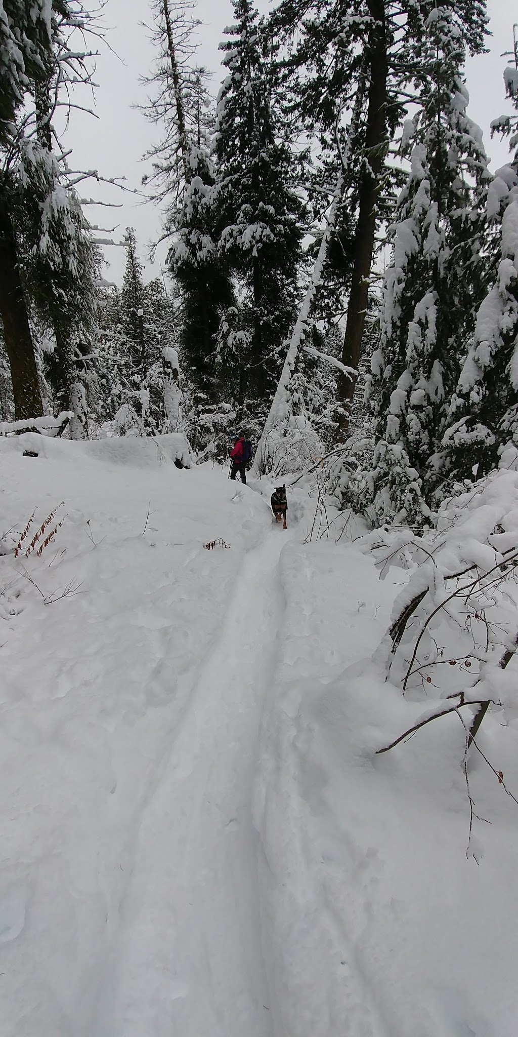 Early Winters Campground