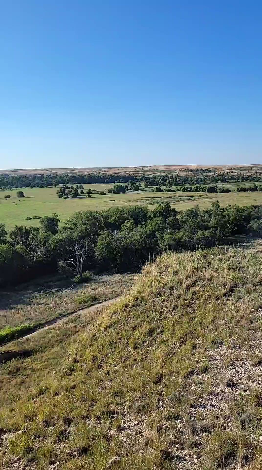 East Bluff #1 Campground - Lake Mcclellan